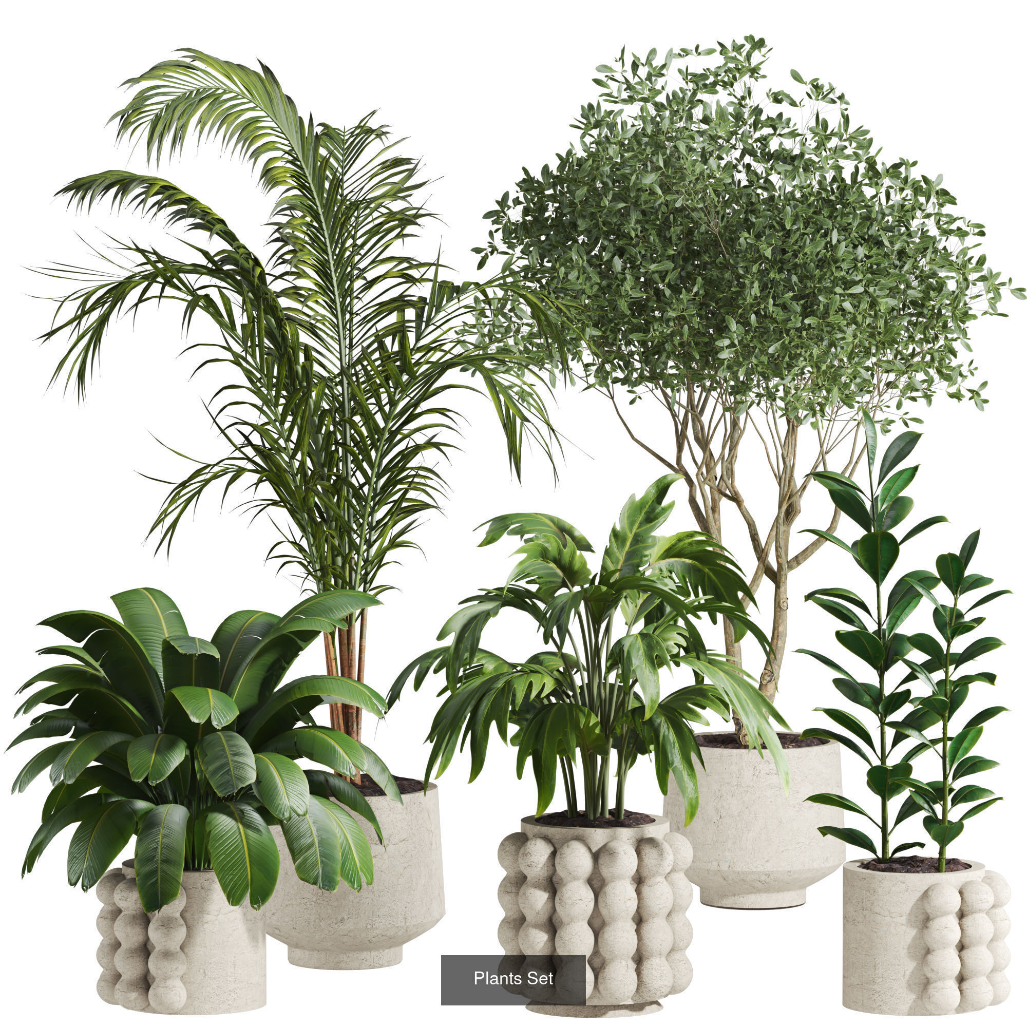 Plants Set 3D Model Collection_4