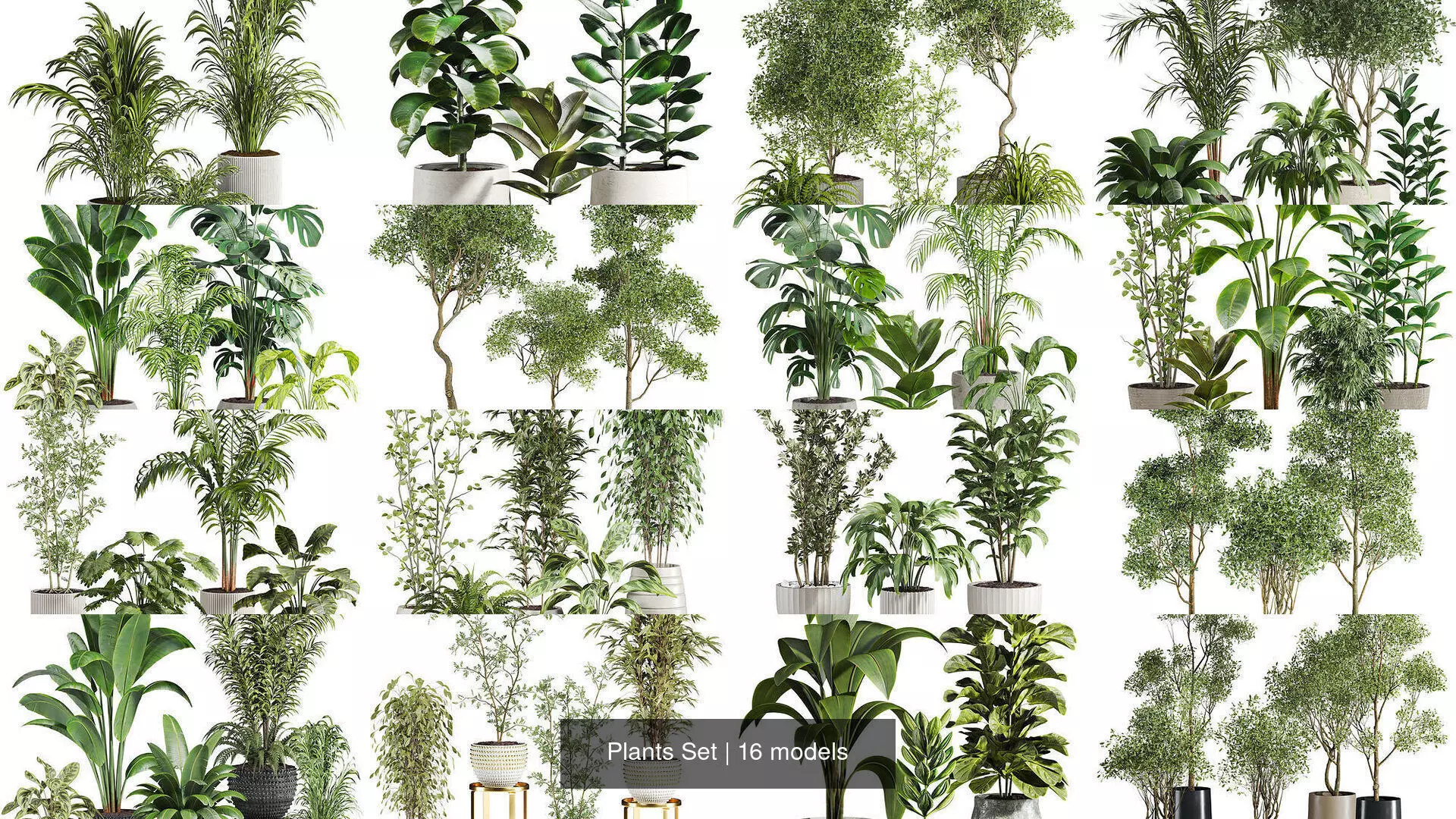 Plants Set 3D Model Collection_0