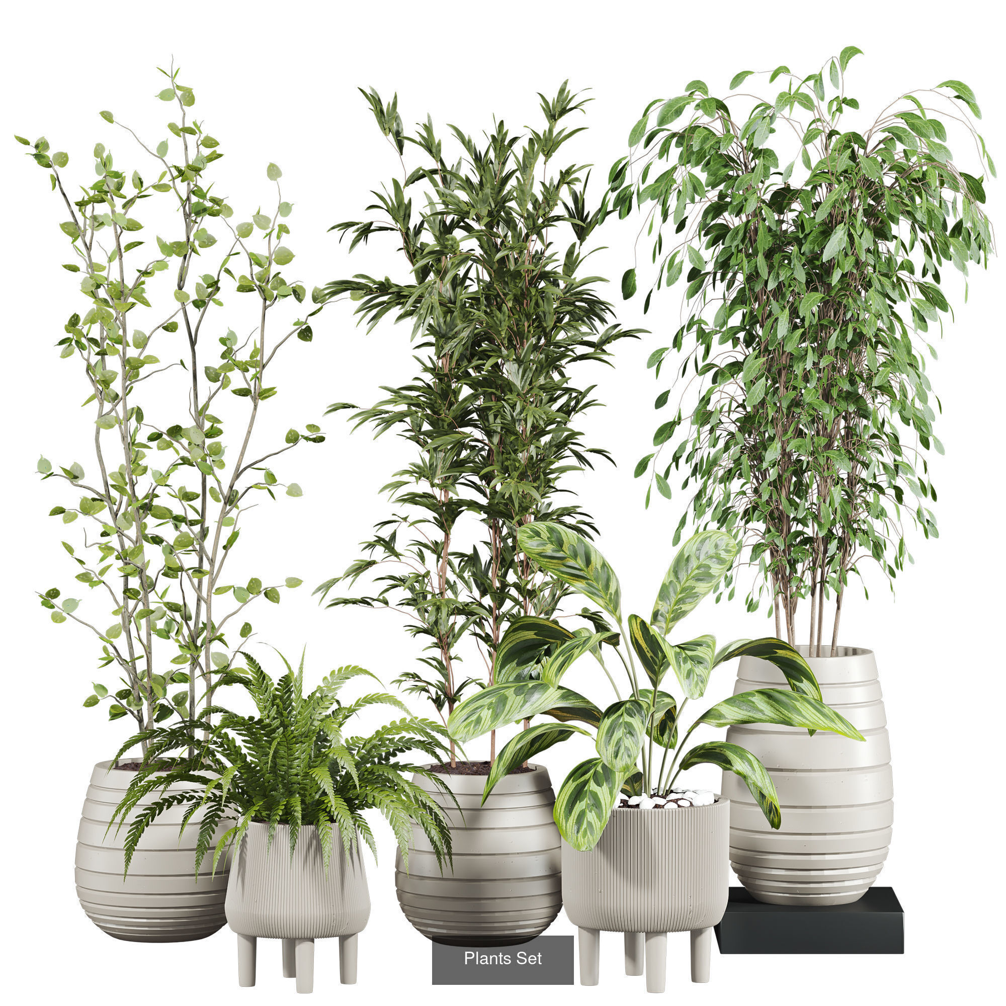 Plants Set 3D Model Collection_10