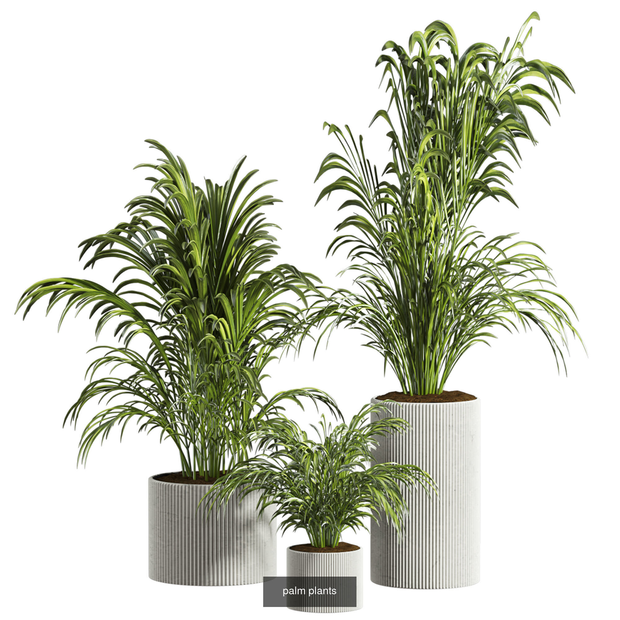 Plants Set 3D Model Collection_1