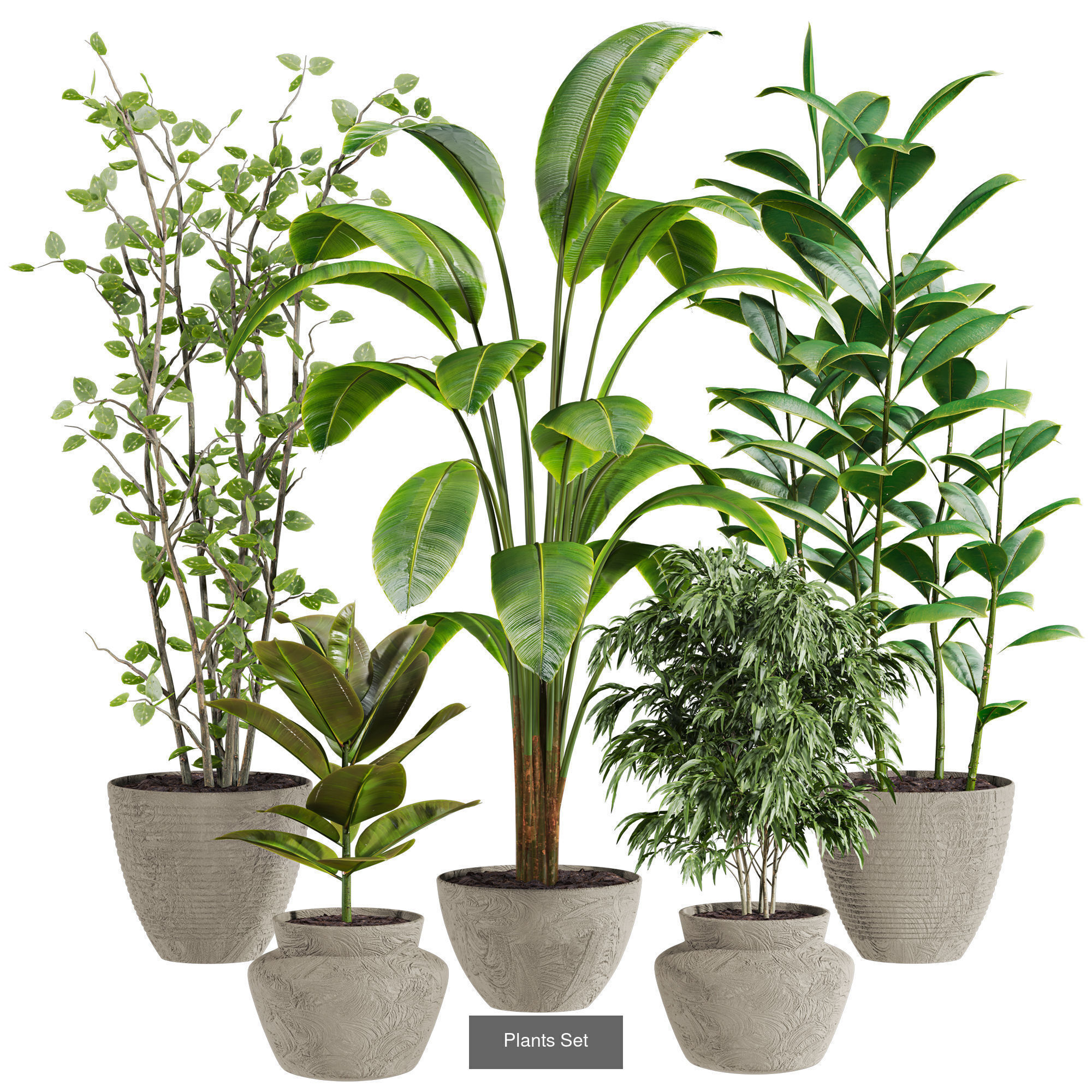 Plants Set 3D Model Collection_8