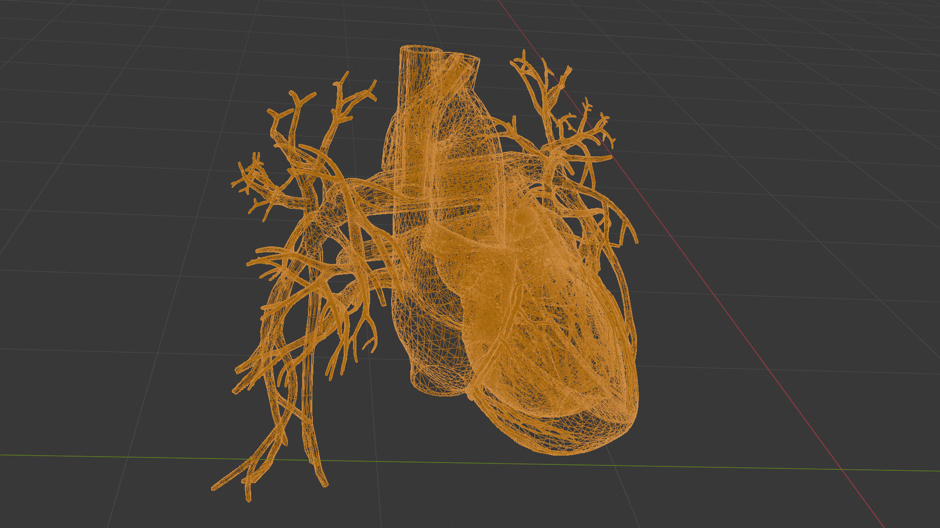 Realistic Human Heart 3D printable 3D print model_1