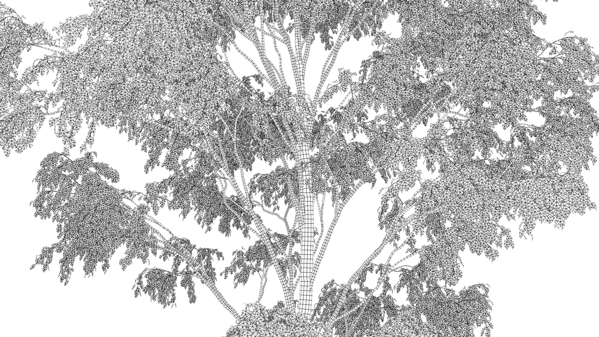 Tree Set 3D Model Complete Collection Low-poly 3D model_56