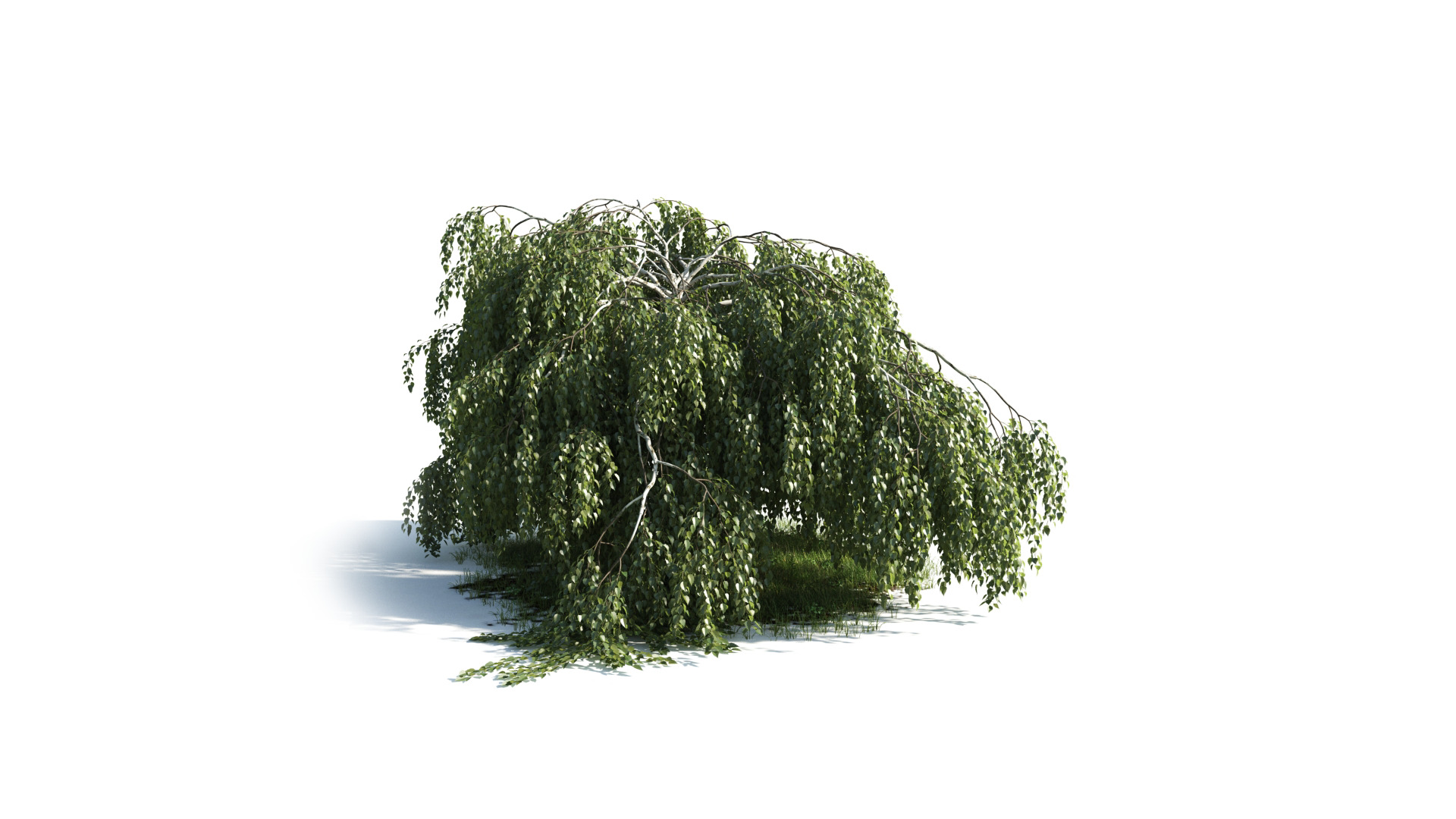 Tree Set 3D Model Complete Collection Low-poly 3D model_29