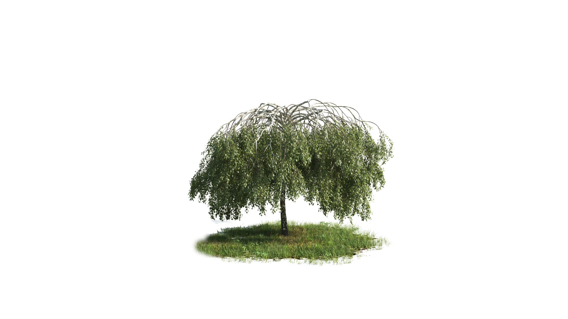 Tree Set 3D Model Complete Collection Low-poly 3D model_28