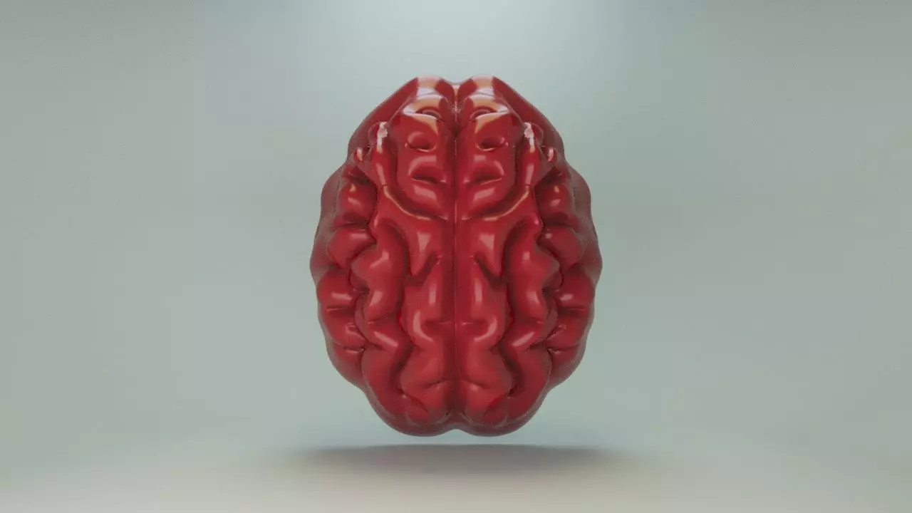 Gummy brain 3D print model
