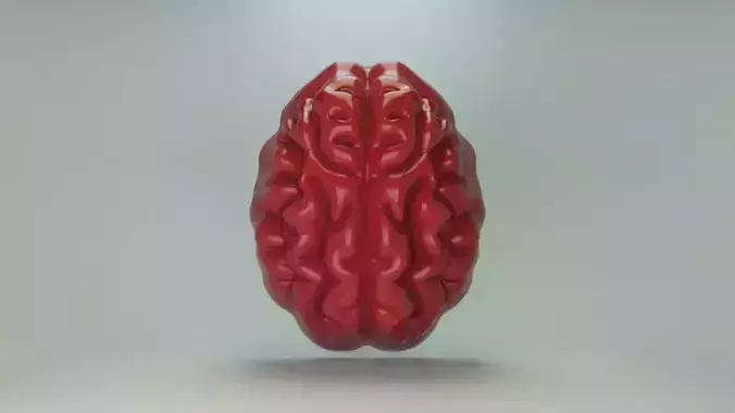 Gummy brain