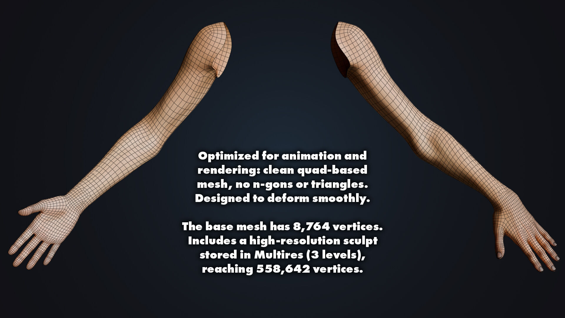 Realistic Neutral Arms - Customizable Edition 3D model_10