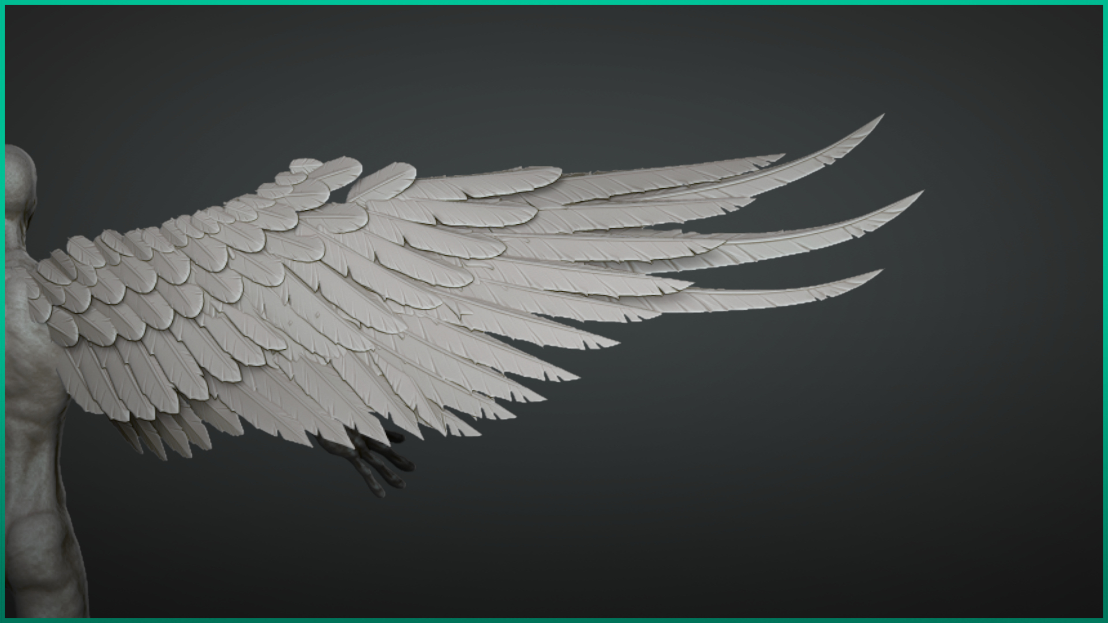 Stylized Feathers - 20 Insert mesh Zbrush 3D model_5