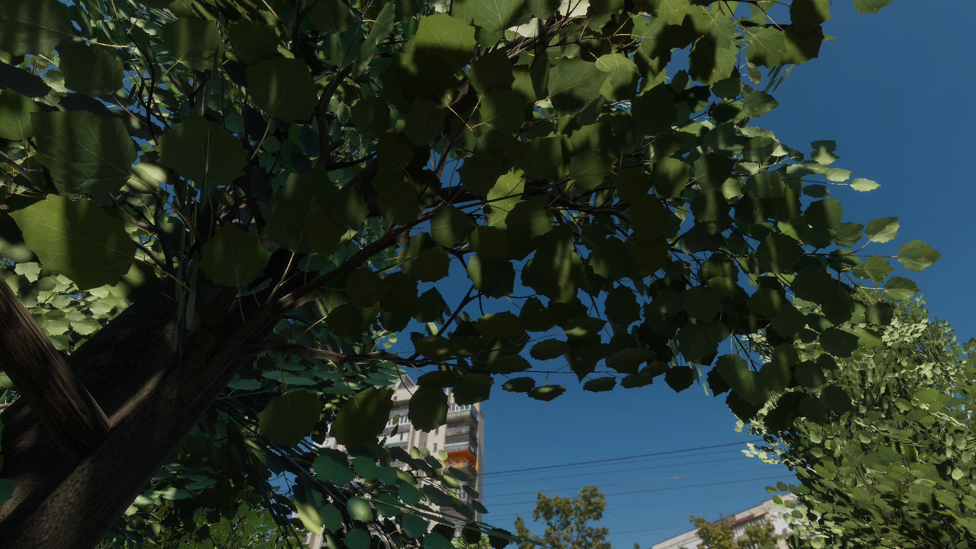 Braodleave Summer Trees Collection Low-poly 3D model_10