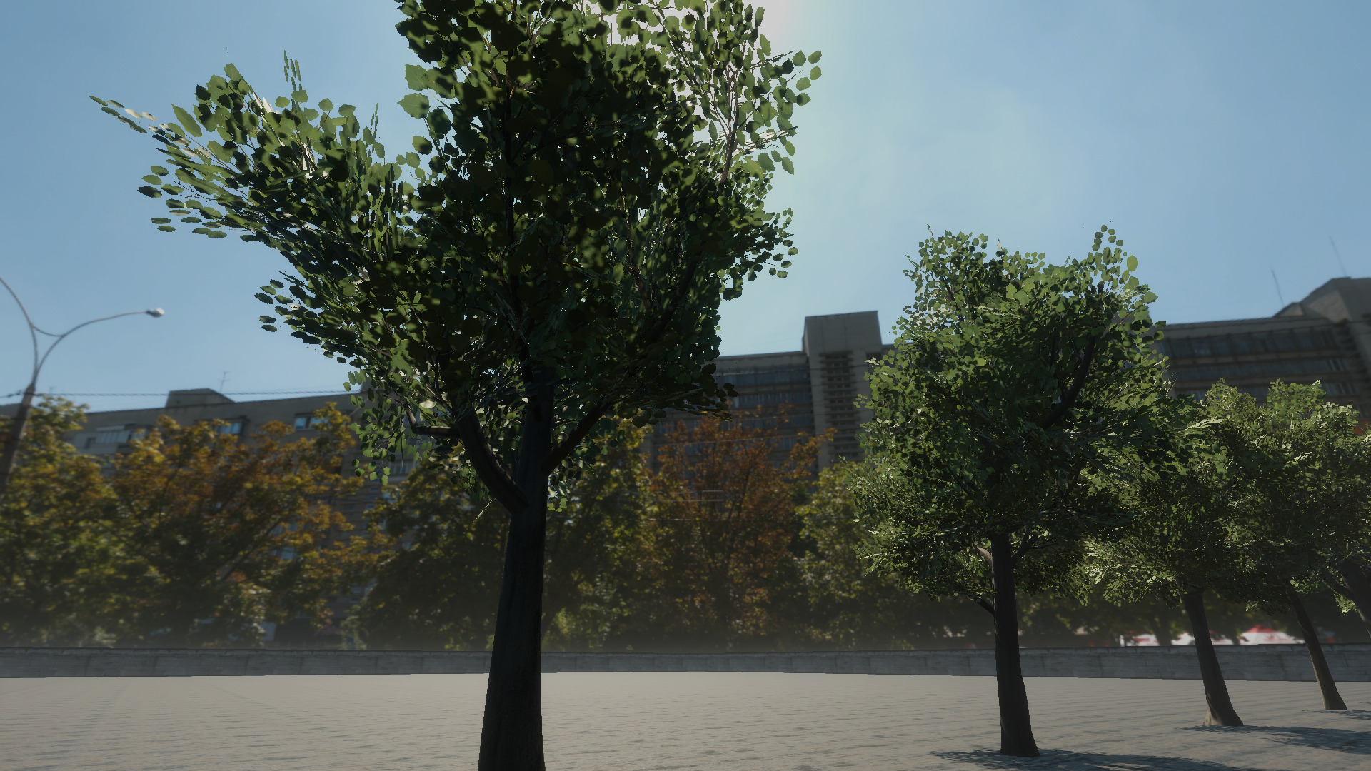 Braodleave Summer Trees Collection Low-poly 3D model_9