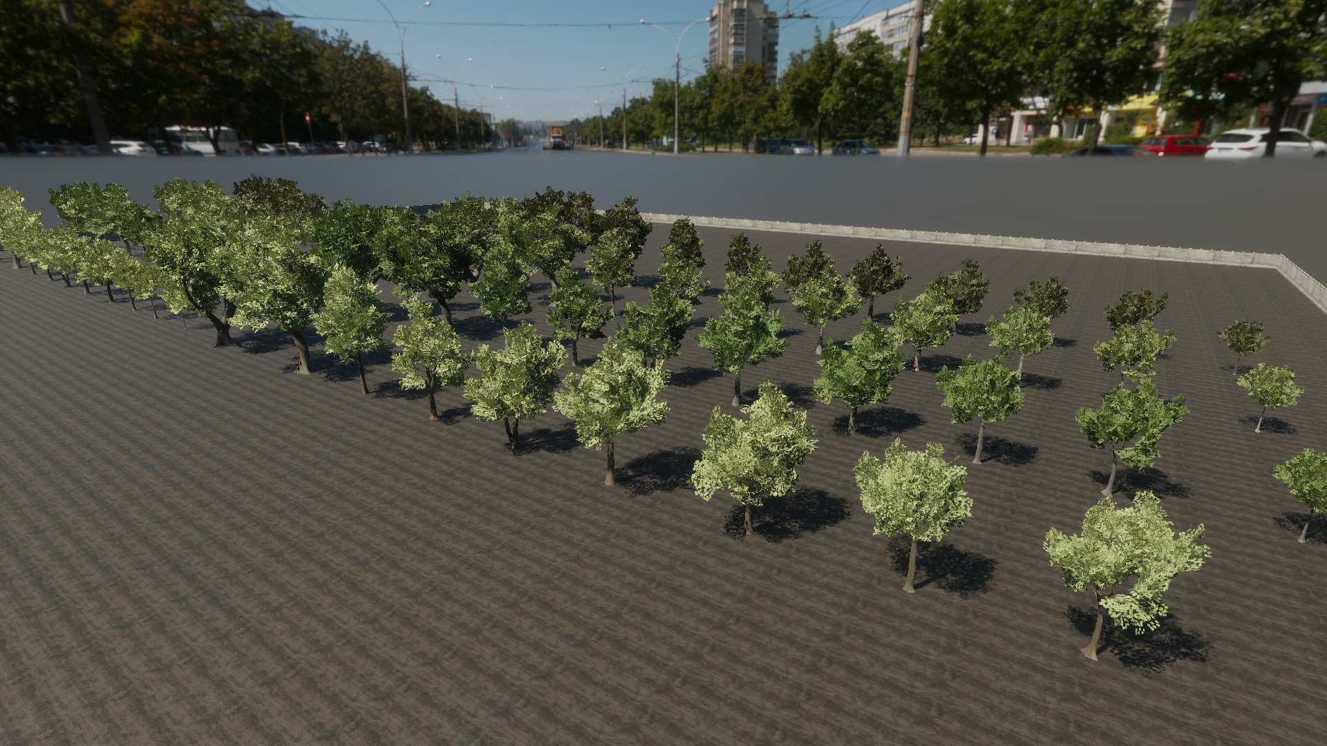 Braodleave Summer Trees Collection Low-poly 3D model_1