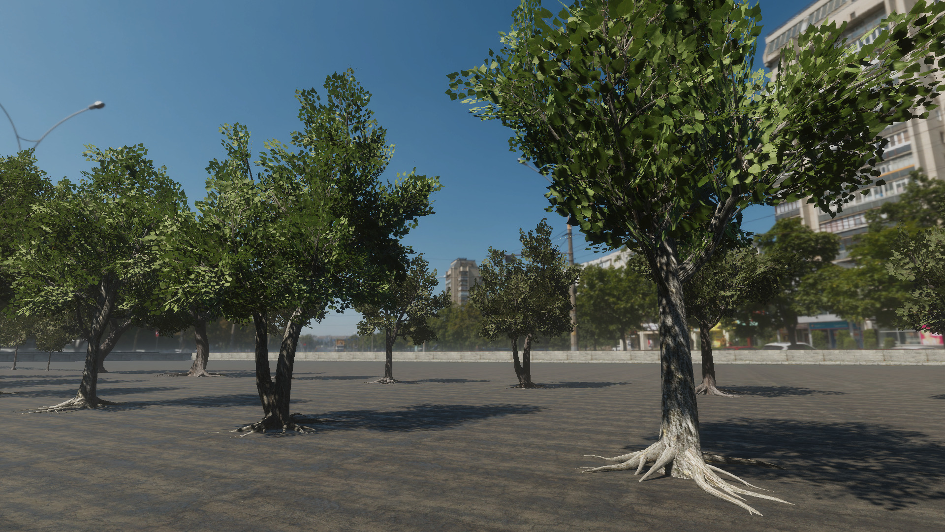 Braodleave Summer Trees Collection Low-poly 3D model_4