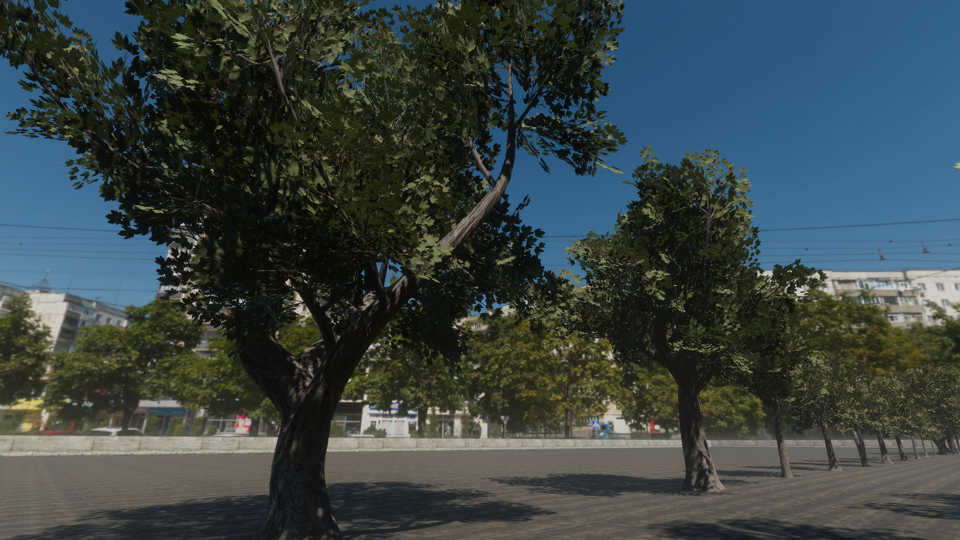 Braodleave Summer Trees Collection Low-poly 3D model_6