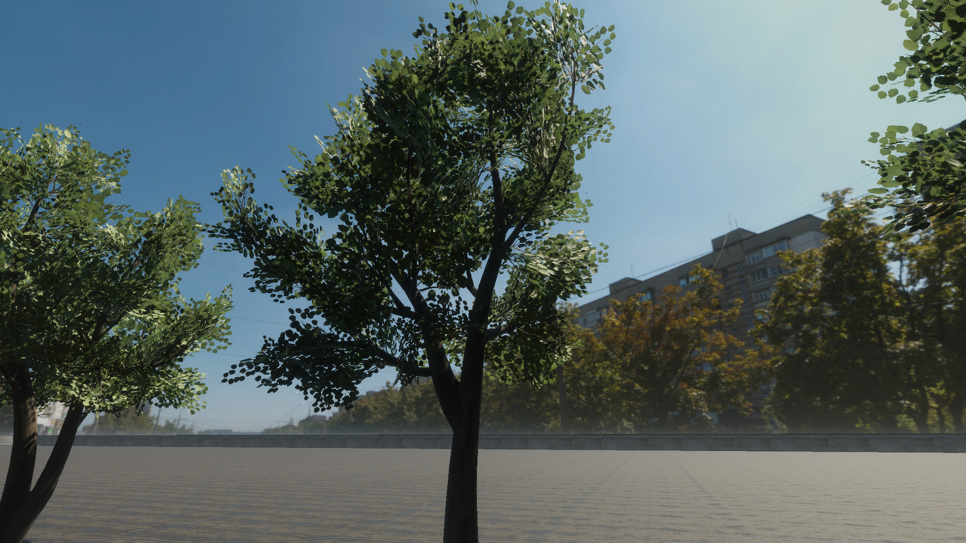 Braodleave Summer Trees Collection Low-poly 3D model_8
