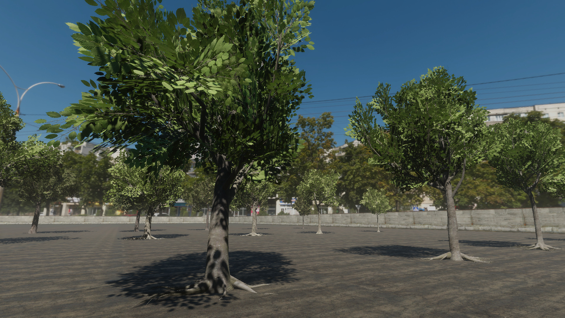 Braodleave Summer Trees Collection Low-poly 3D model_3