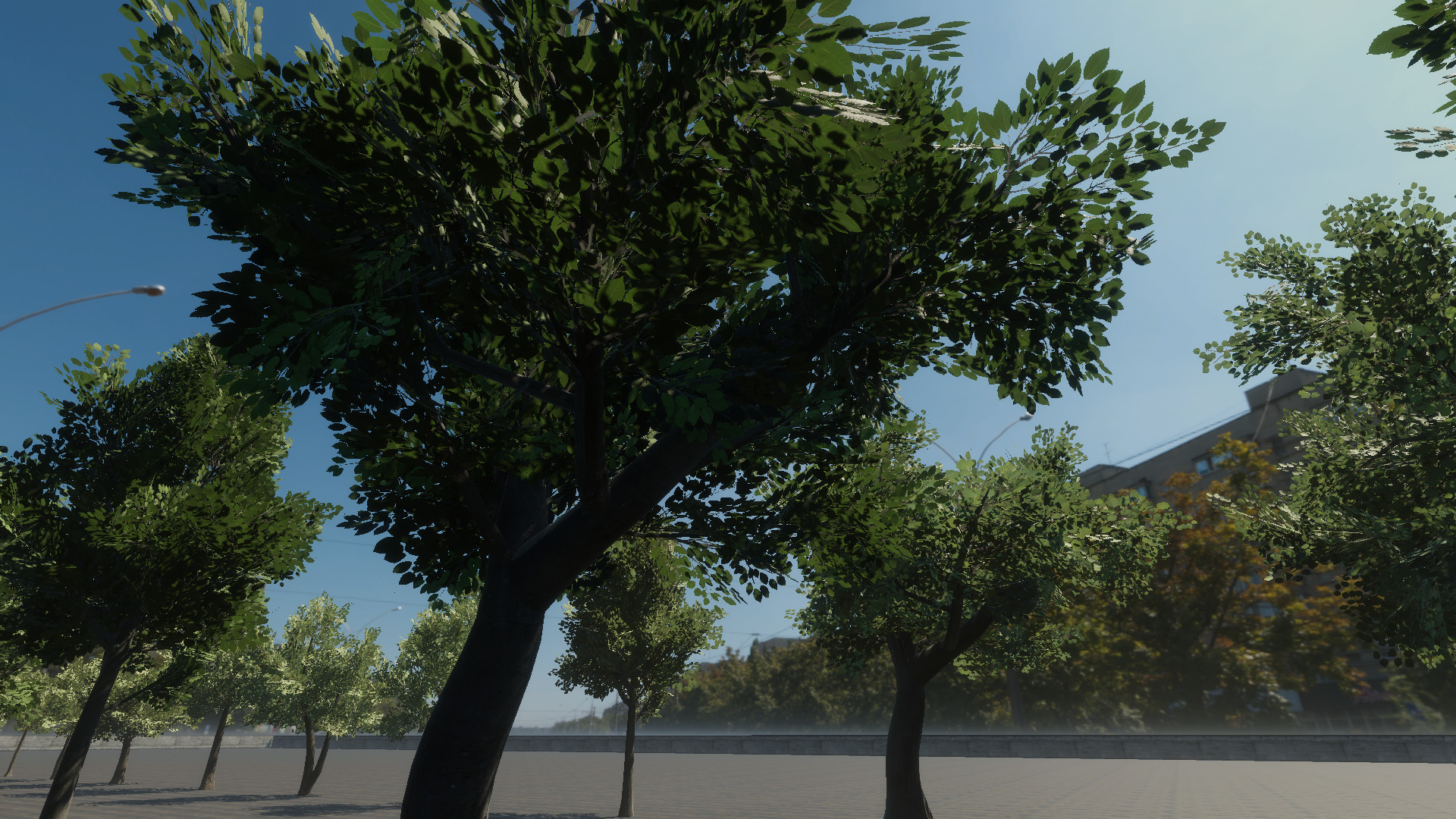 Braodleave Summer Trees Collection Low-poly 3D model_7