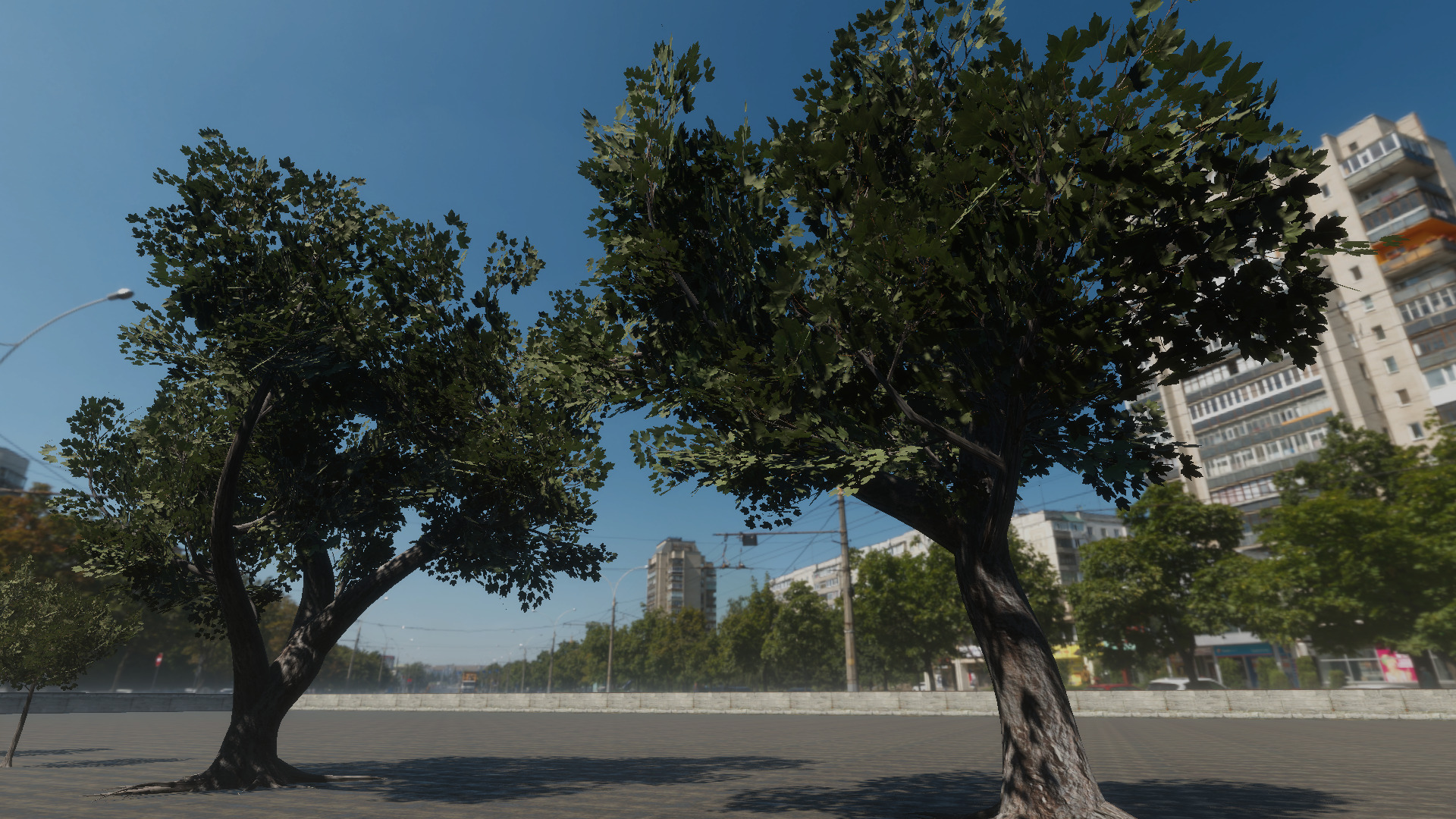 Braodleave Summer Trees Collection Low-poly 3D model_5