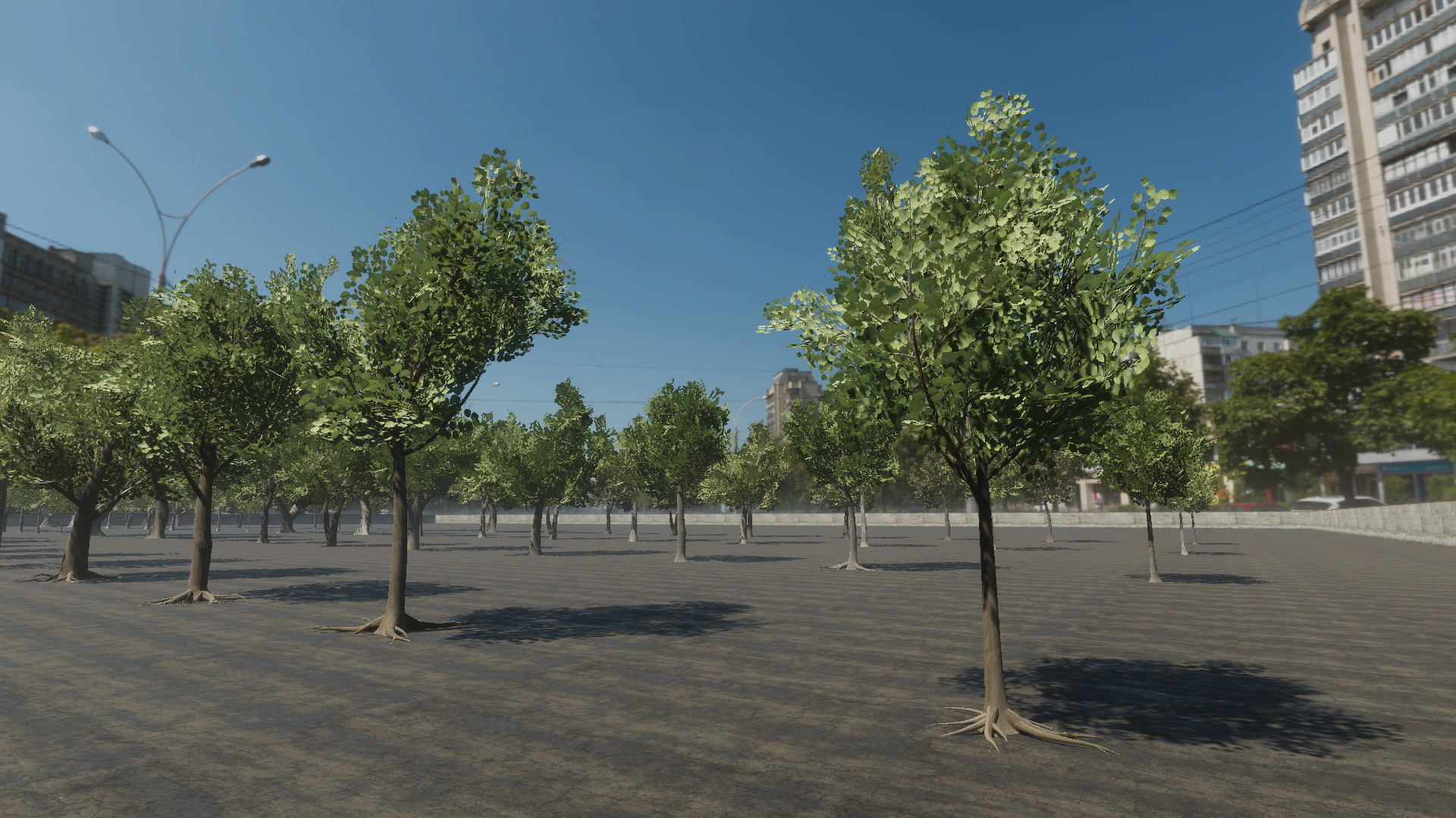 Braodleave Summer Trees Collection Low-poly 3D model_2