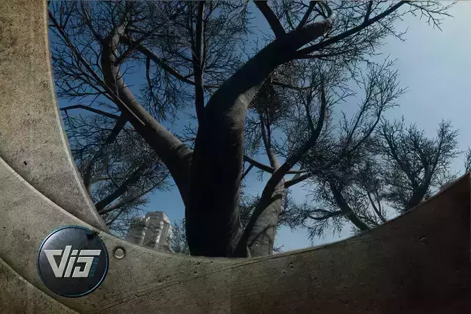 Braodleave Winter Trees Collection 