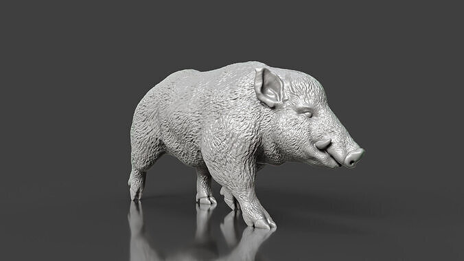 Realistic Wild Boar Toy STL 3D print model