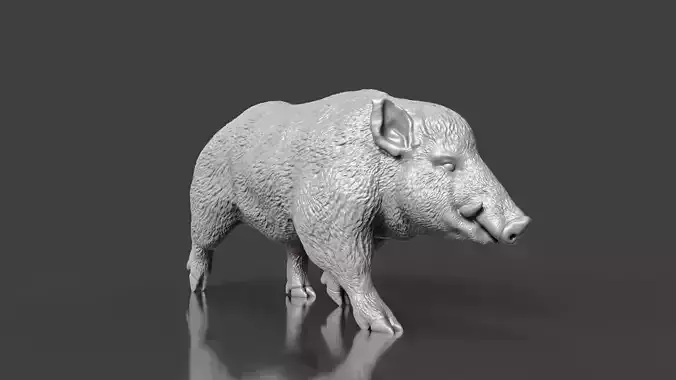 Realistic Wild Boar Toy STL 3D print model