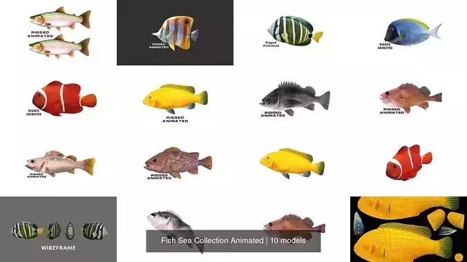 Fish Sea Collection Animated 