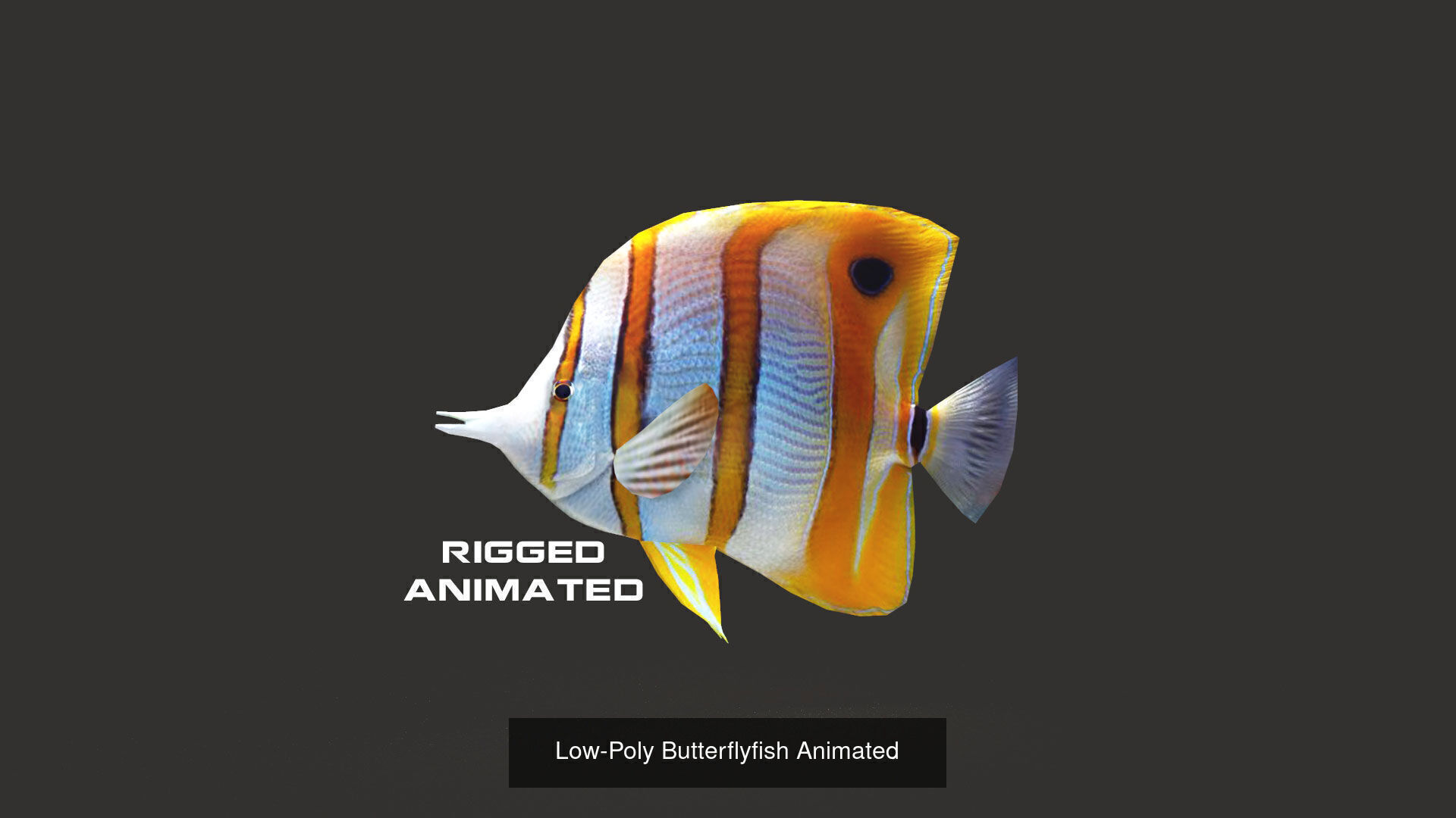 Fish Sea Collection Animated _2