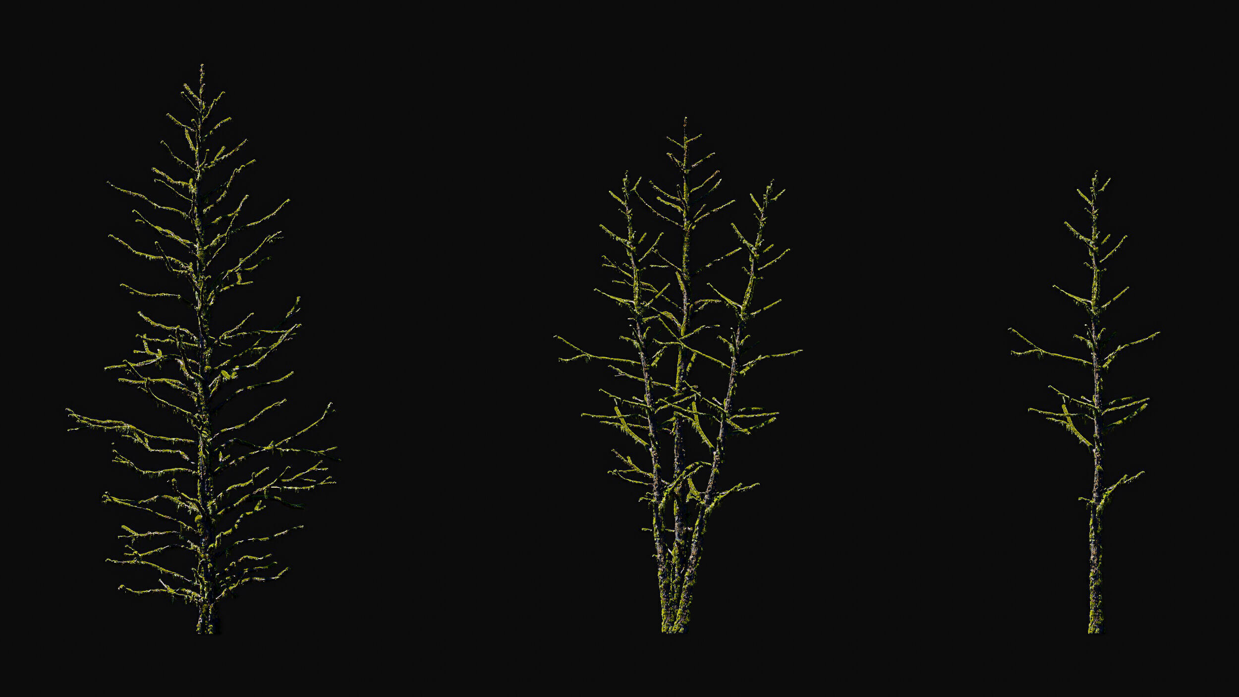 Huge Tree Set Pack All In One Low-poly 3D model_18