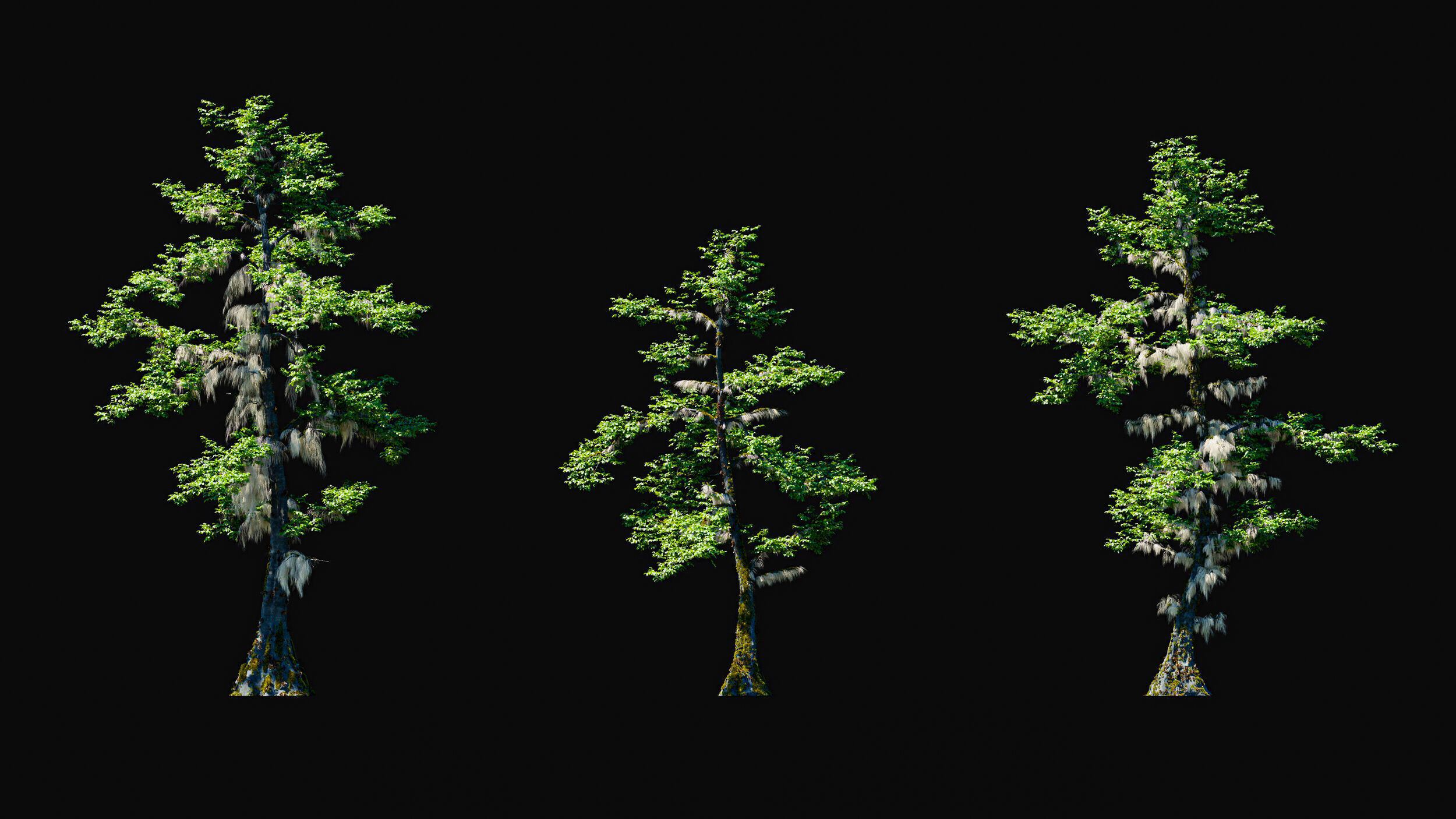 Huge Tree Set Pack All In One Low-poly 3D model_27
