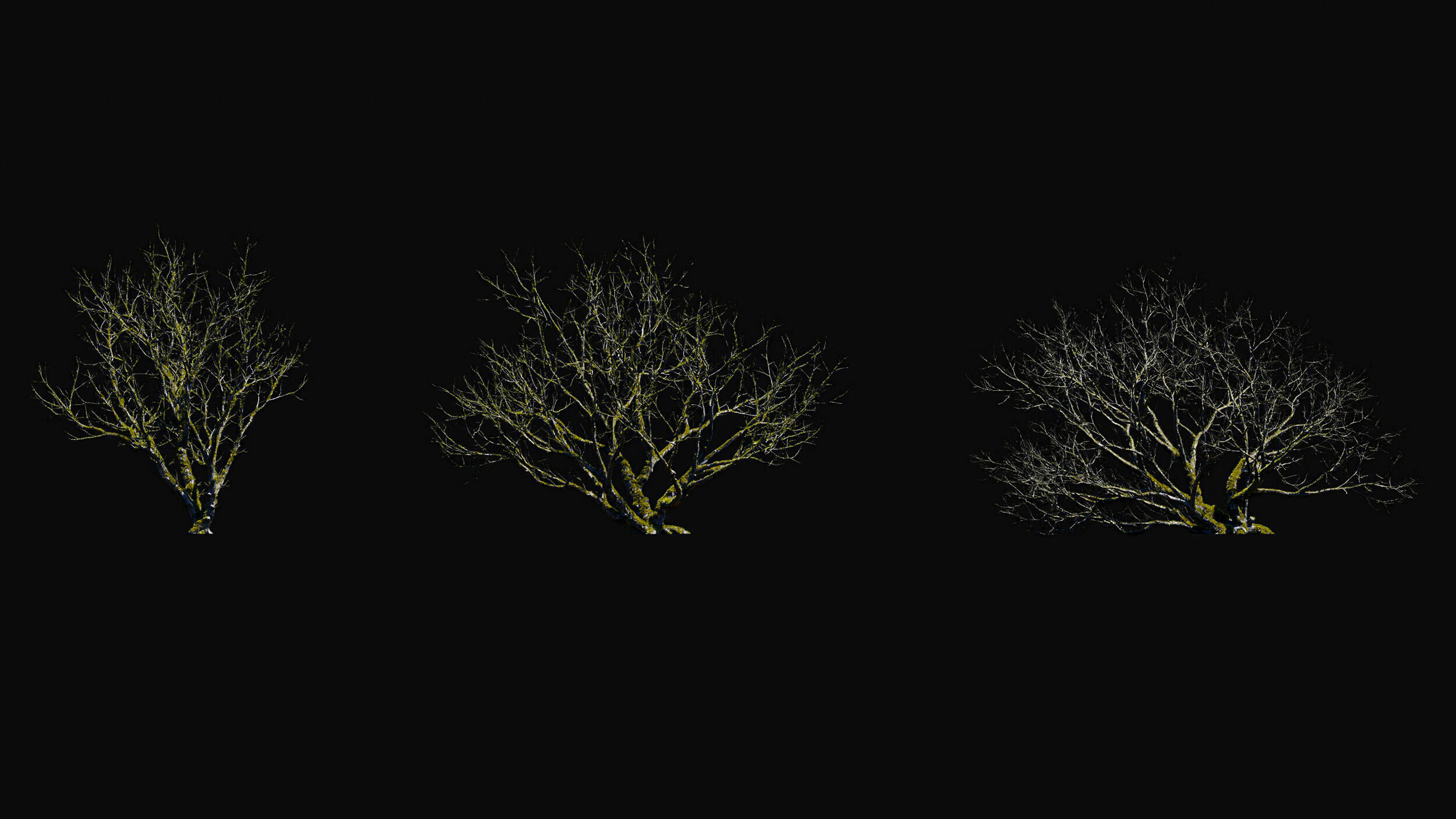 Huge Tree Set Pack All In One Low-poly 3D model_21