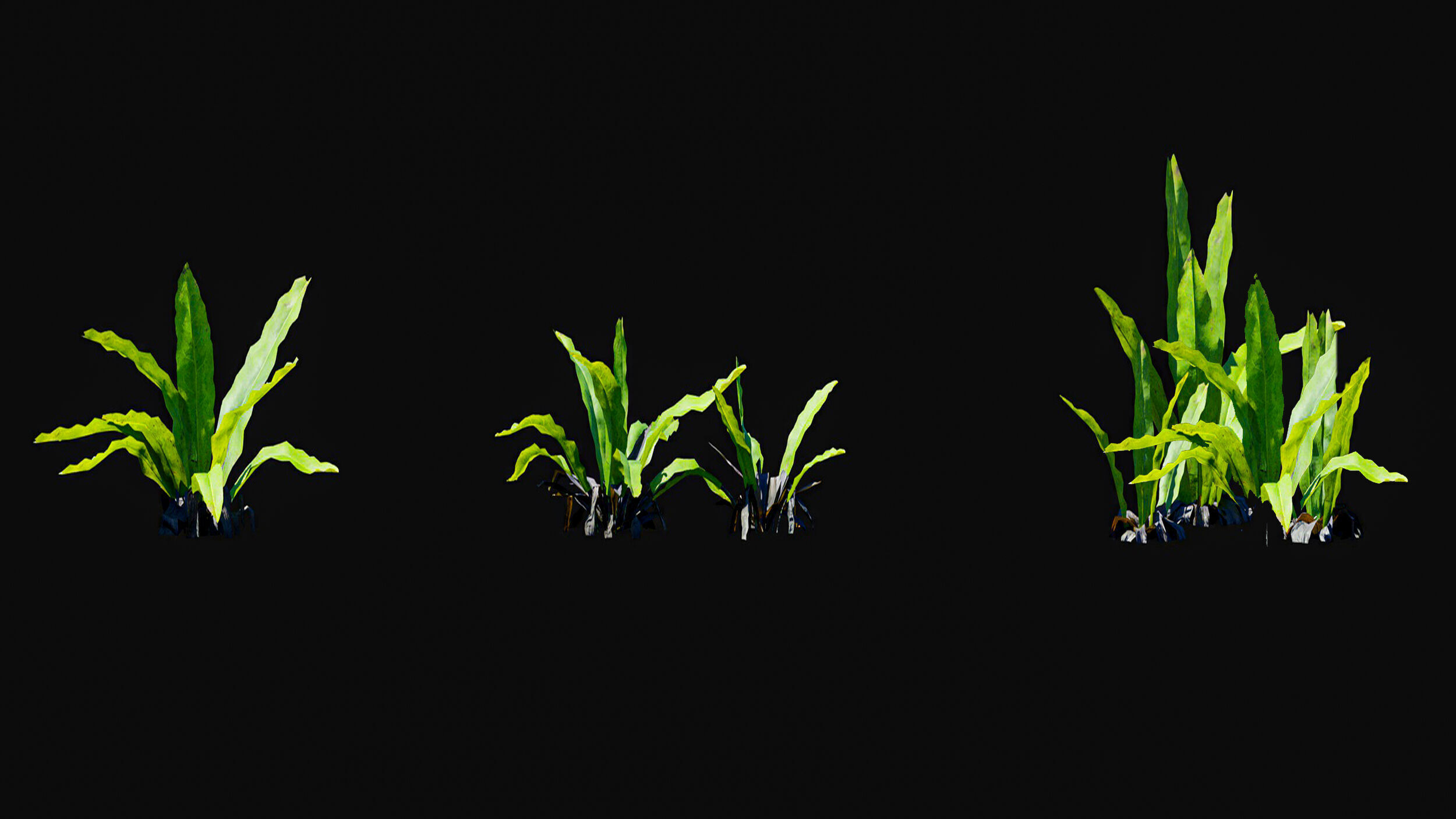 Huge Tree Set Pack All In One Low-poly 3D model_19