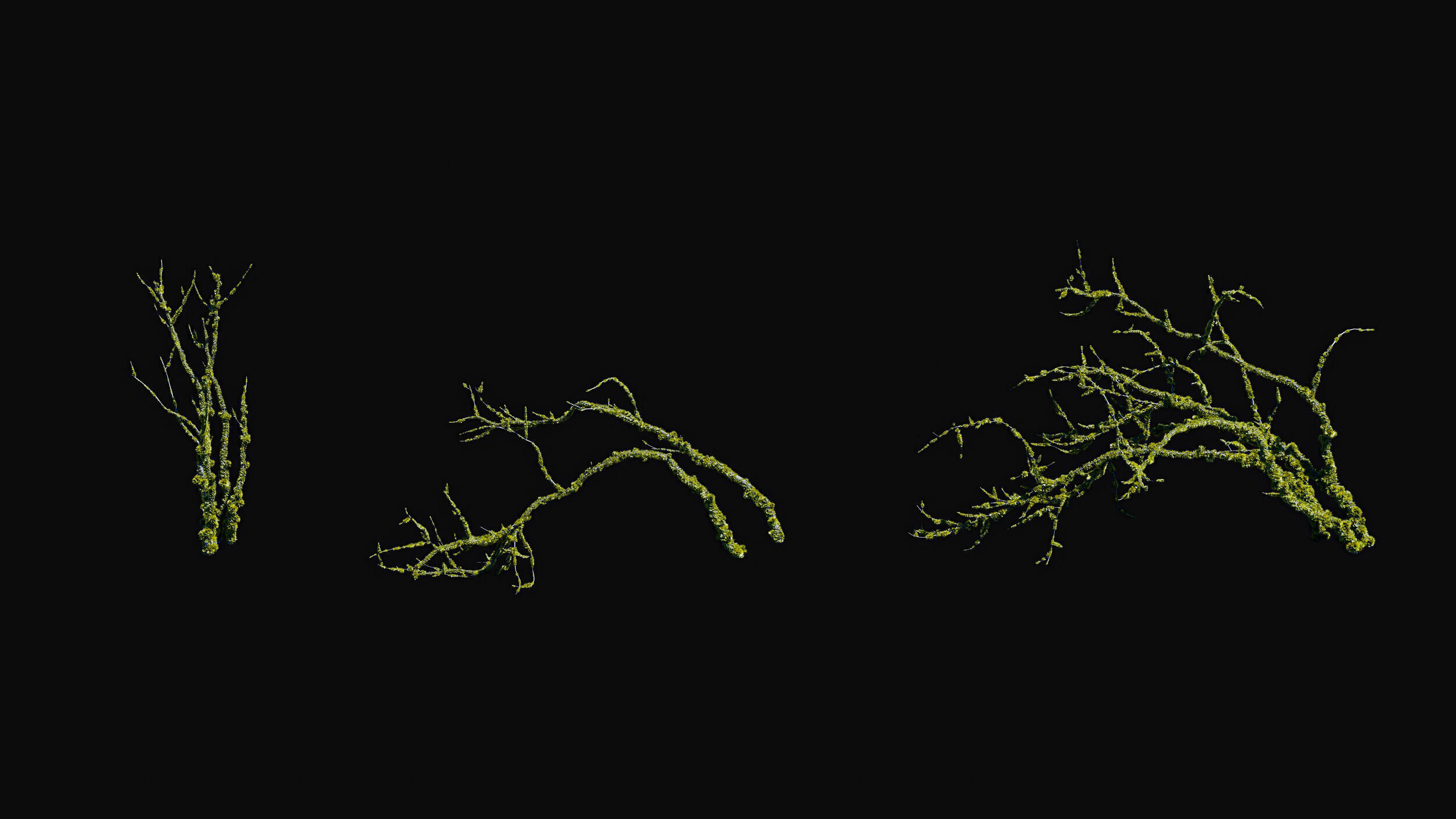 Huge Tree Set Pack All In One Low-poly 3D model_14