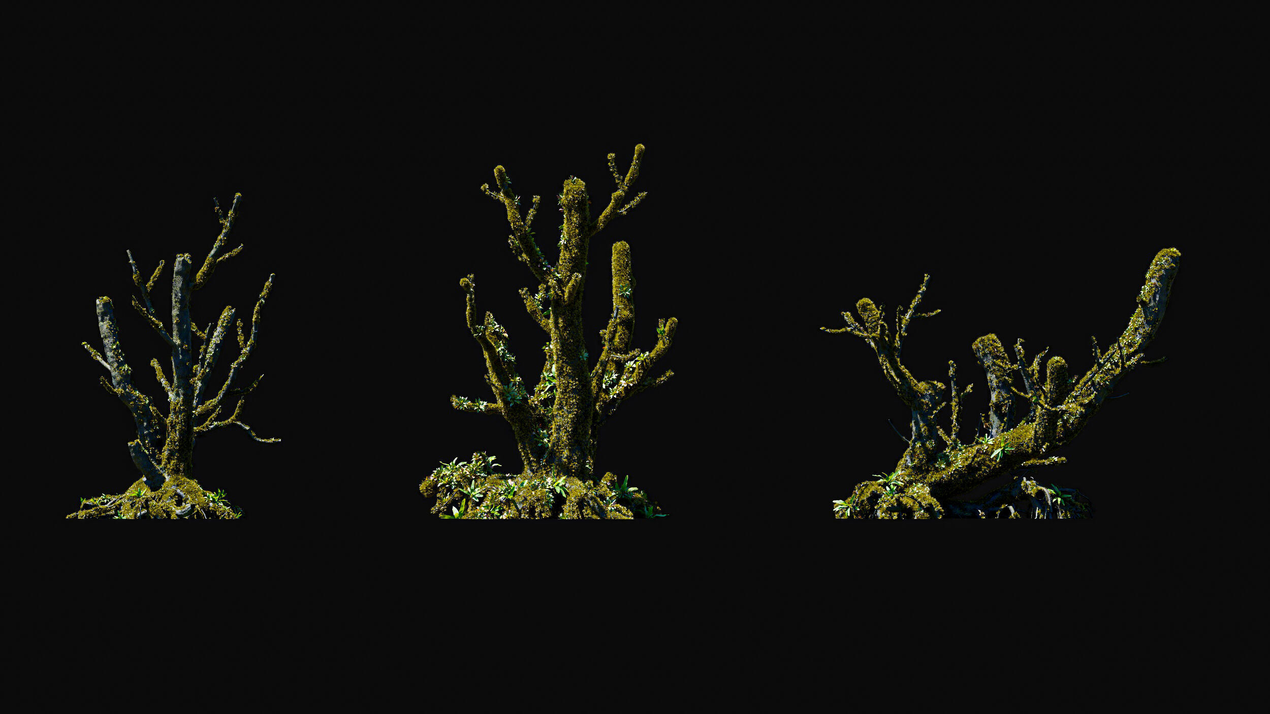 Huge Tree Set Pack All In One Low-poly 3D model_24