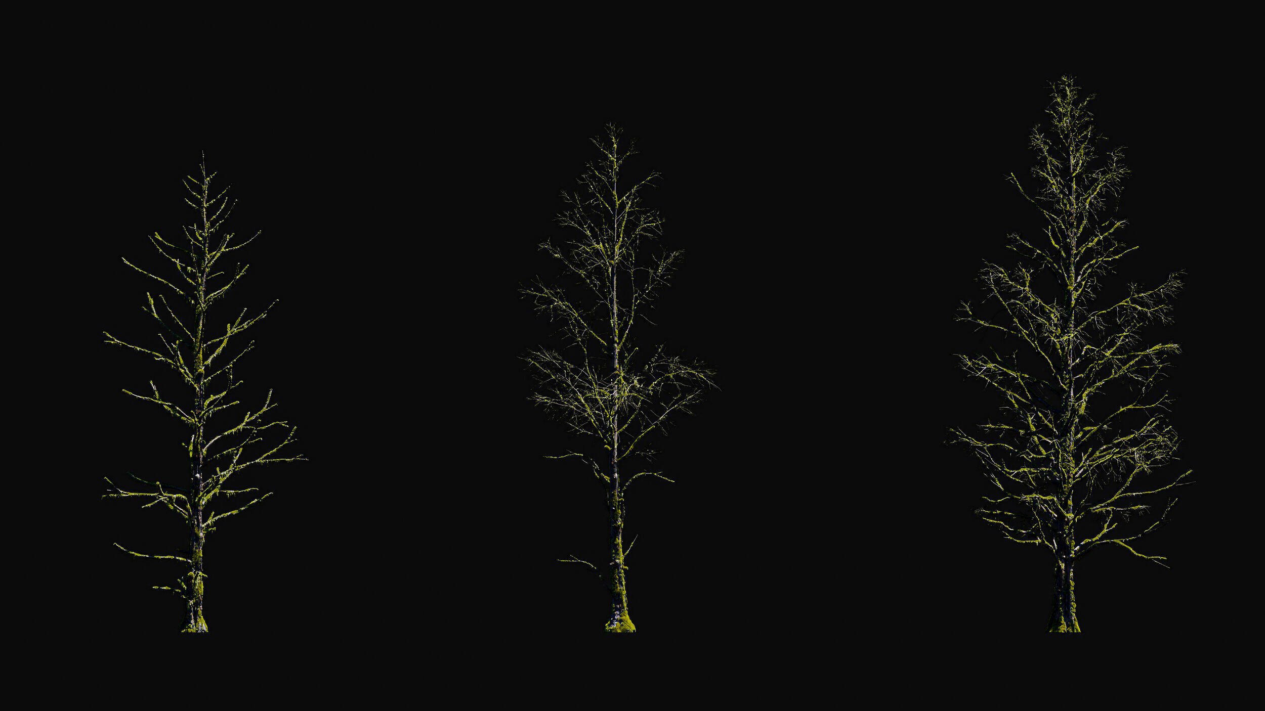 Huge Tree Set Pack All In One Low-poly 3D model_17