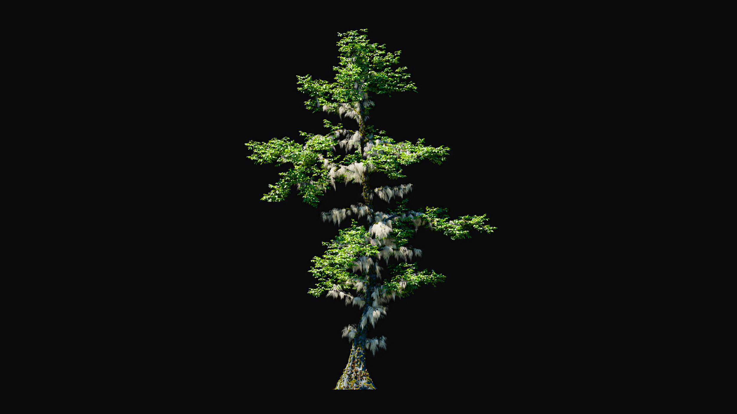 Huge Tree Set Pack All In One Low-poly 3D model_7