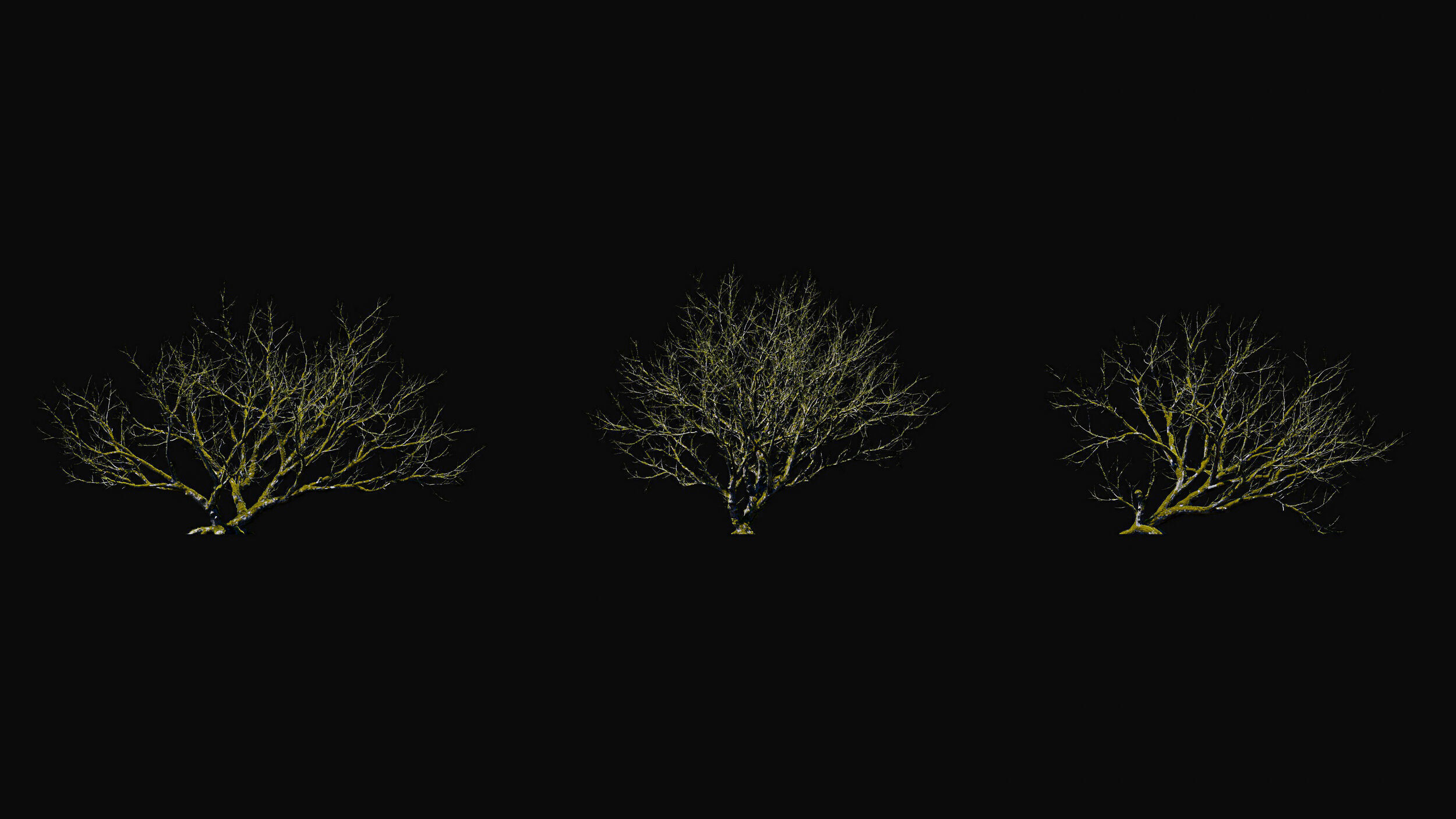 Huge Tree Set Pack All In One Low-poly 3D model_9