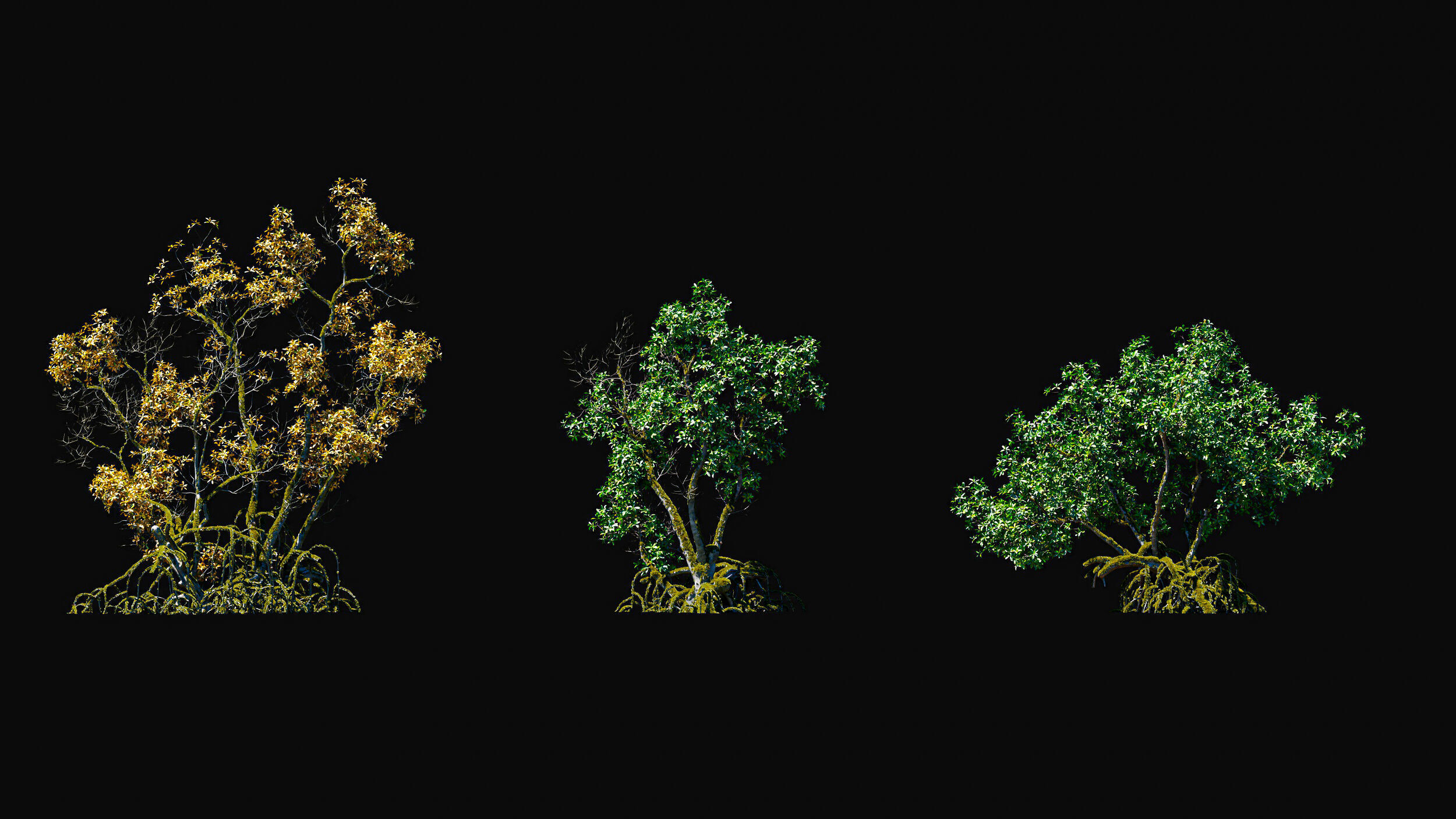Huge Tree Set Pack All In One Low-poly 3D model_6