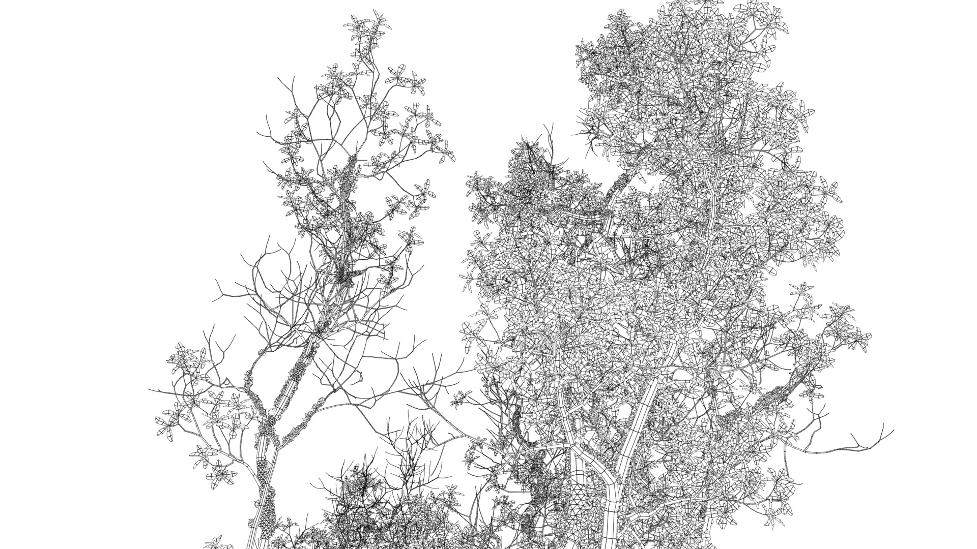 Huge Tree Set Pack All In One Low-poly 3D model_36