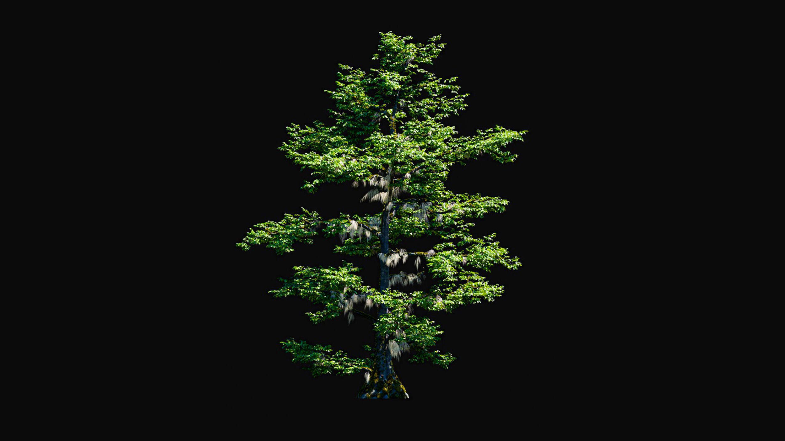 Huge Tree Set Pack All In One Low-poly 3D model_8