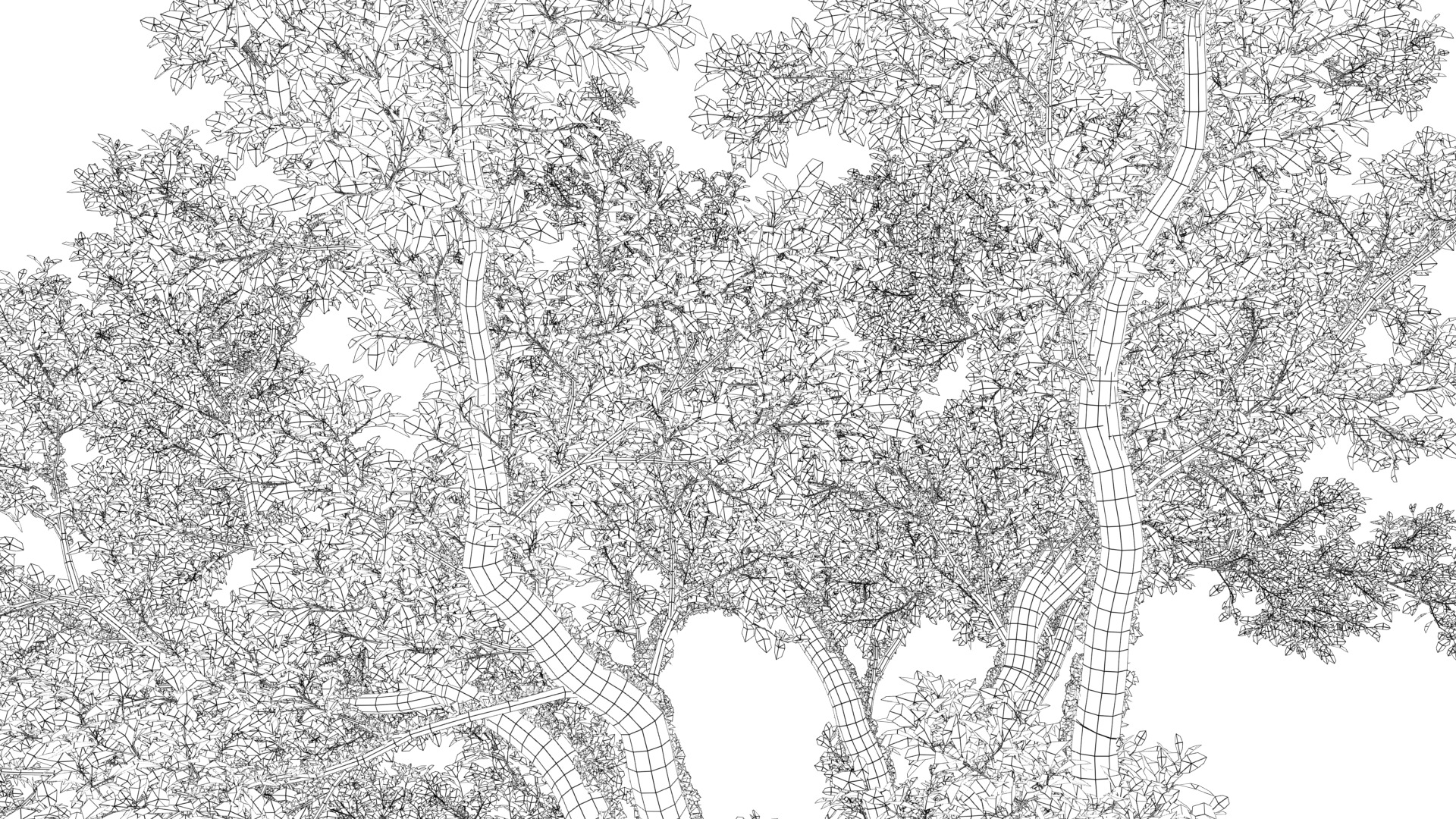 Huge Tree Set Pack All In One Low-poly 3D model_39