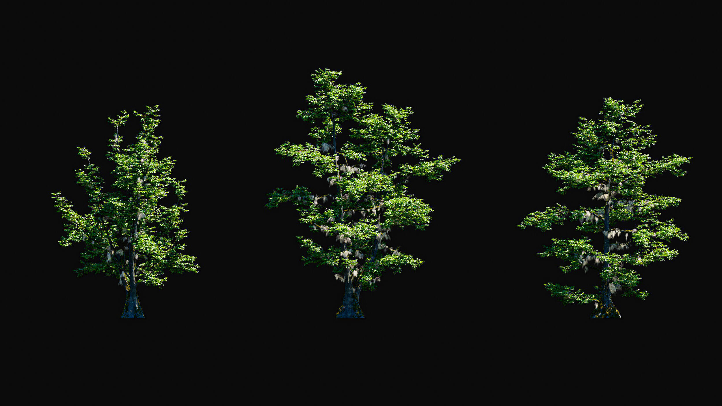 Huge Tree Set Pack All In One Low-poly 3D model_22