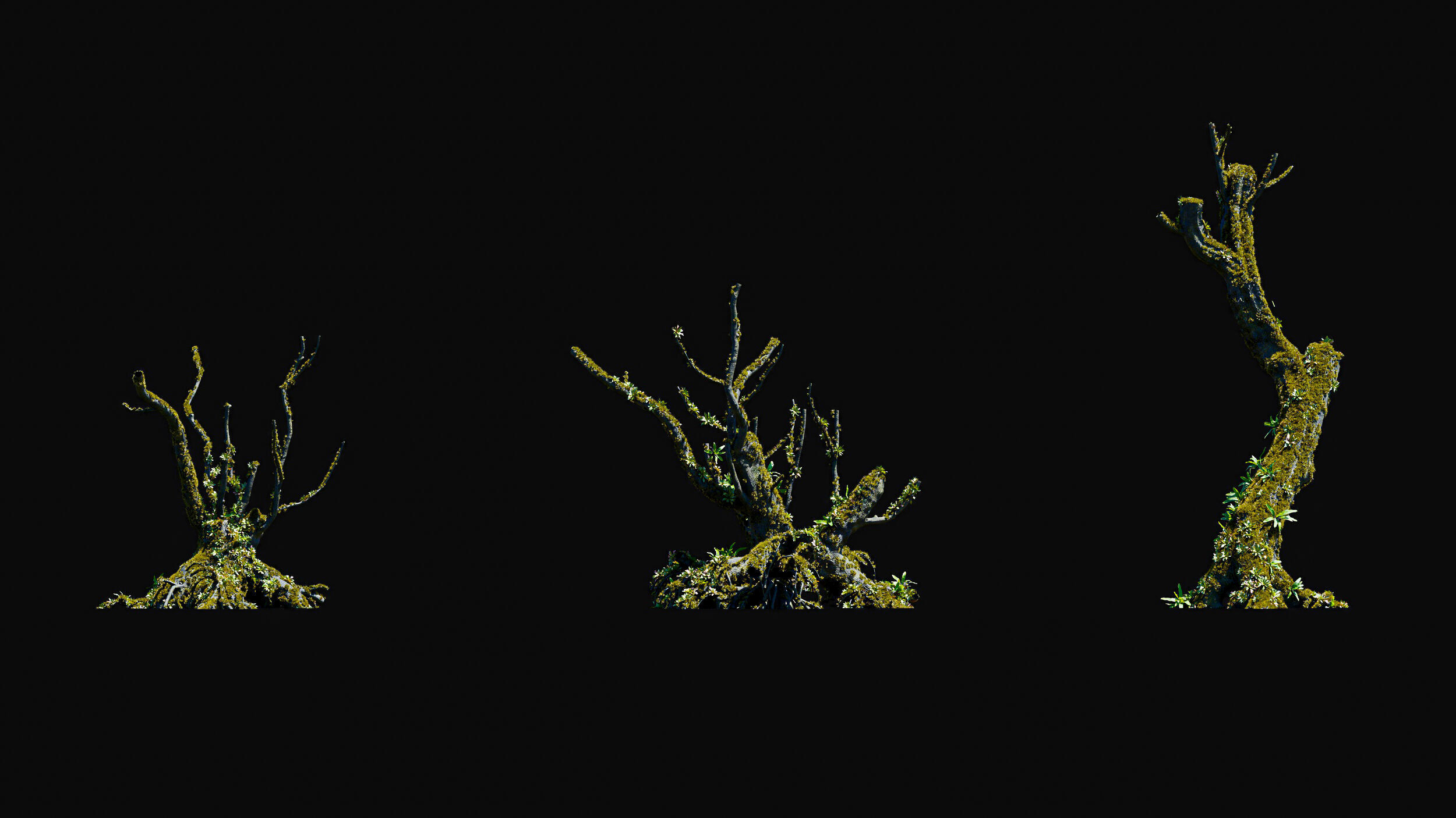 Huge Tree Set Pack All In One Low-poly 3D model_11