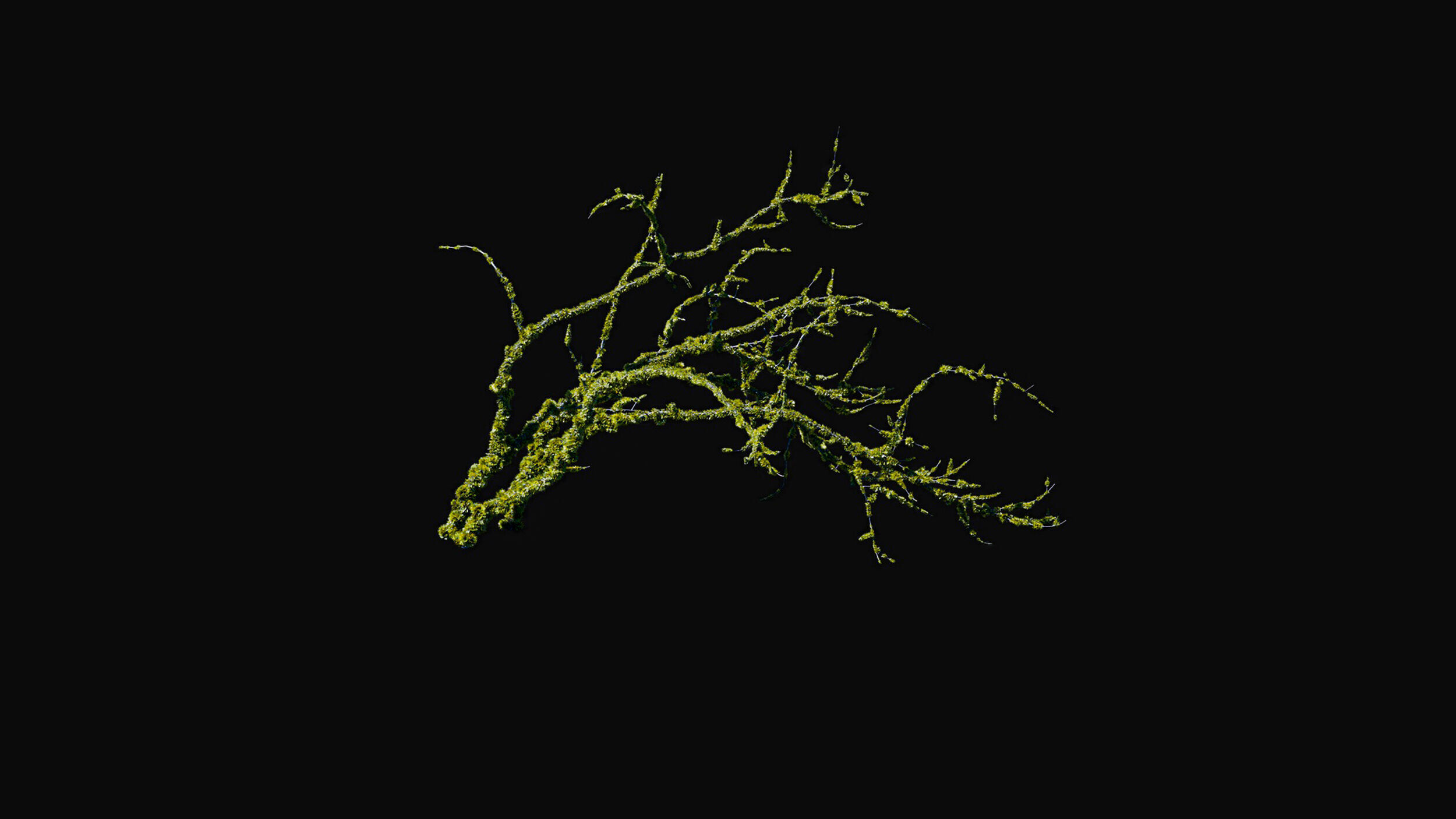 Huge Tree Set Pack All In One Low-poly 3D model_5