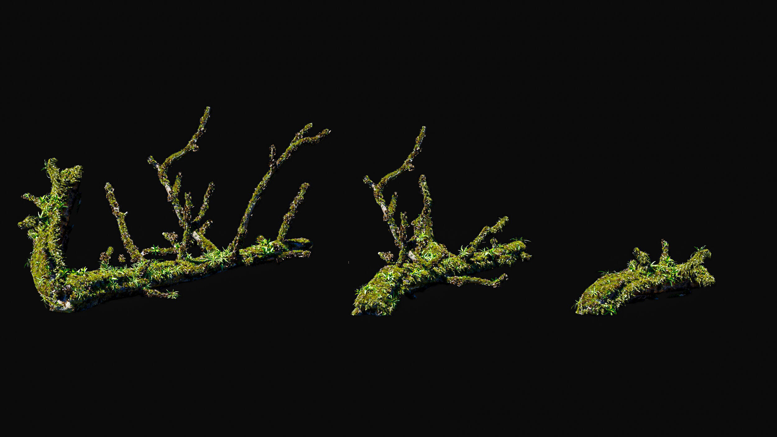 Huge Tree Set Pack All In One Low-poly 3D model_31