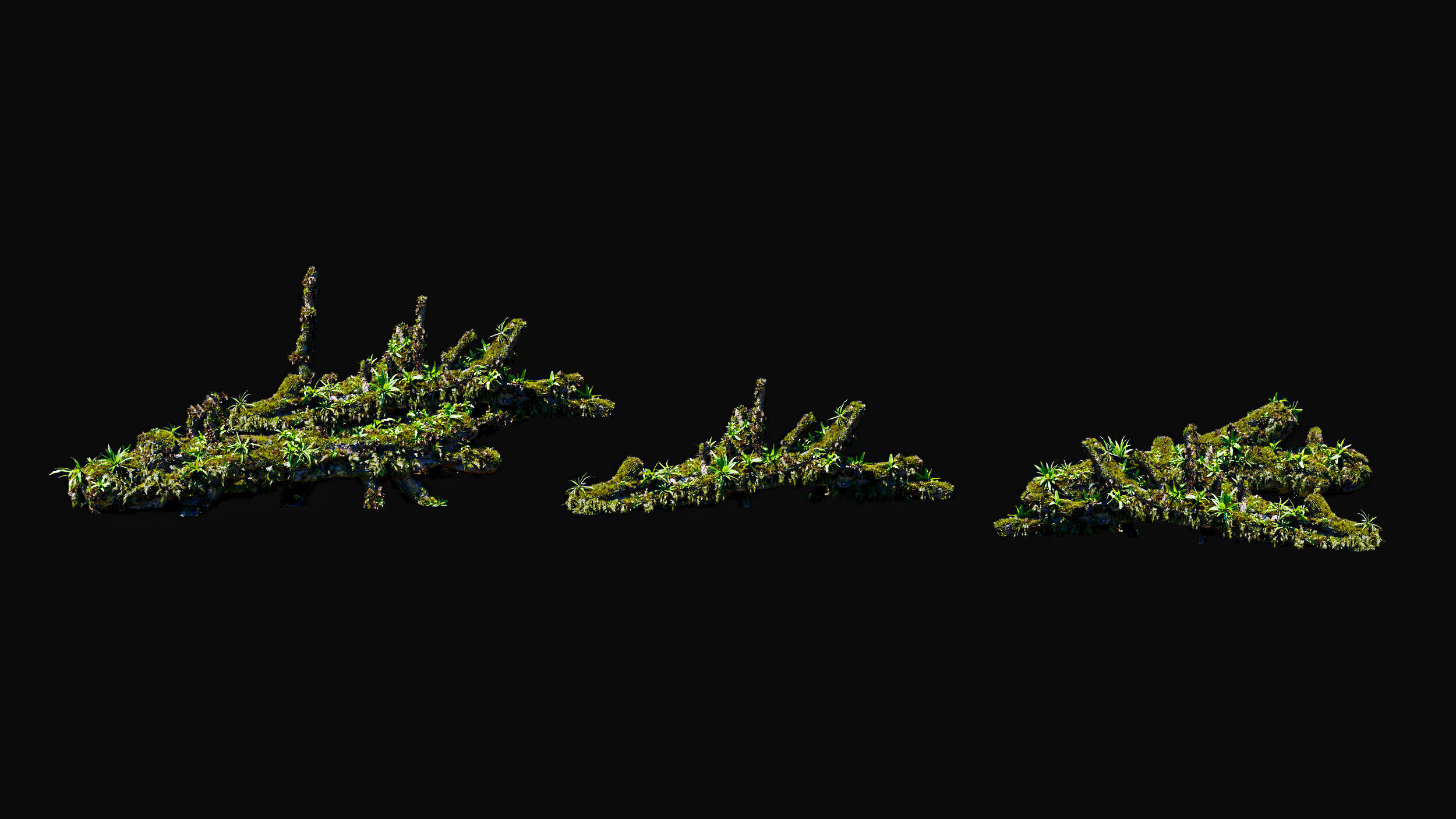 Huge Tree Set Pack All In One Low-poly 3D model_25