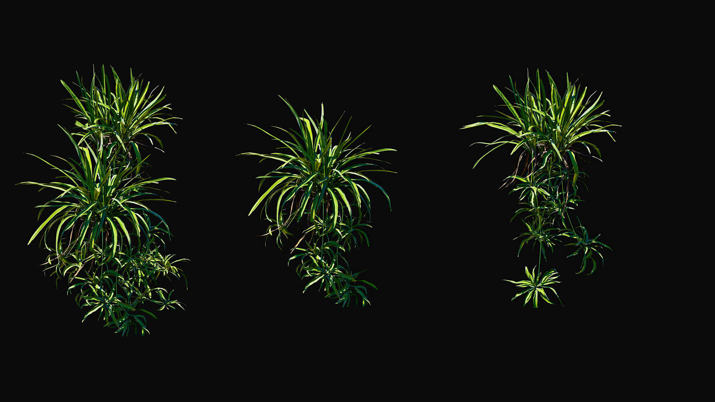 Huge Tree Set Pack All In One Low-poly 3D model_40