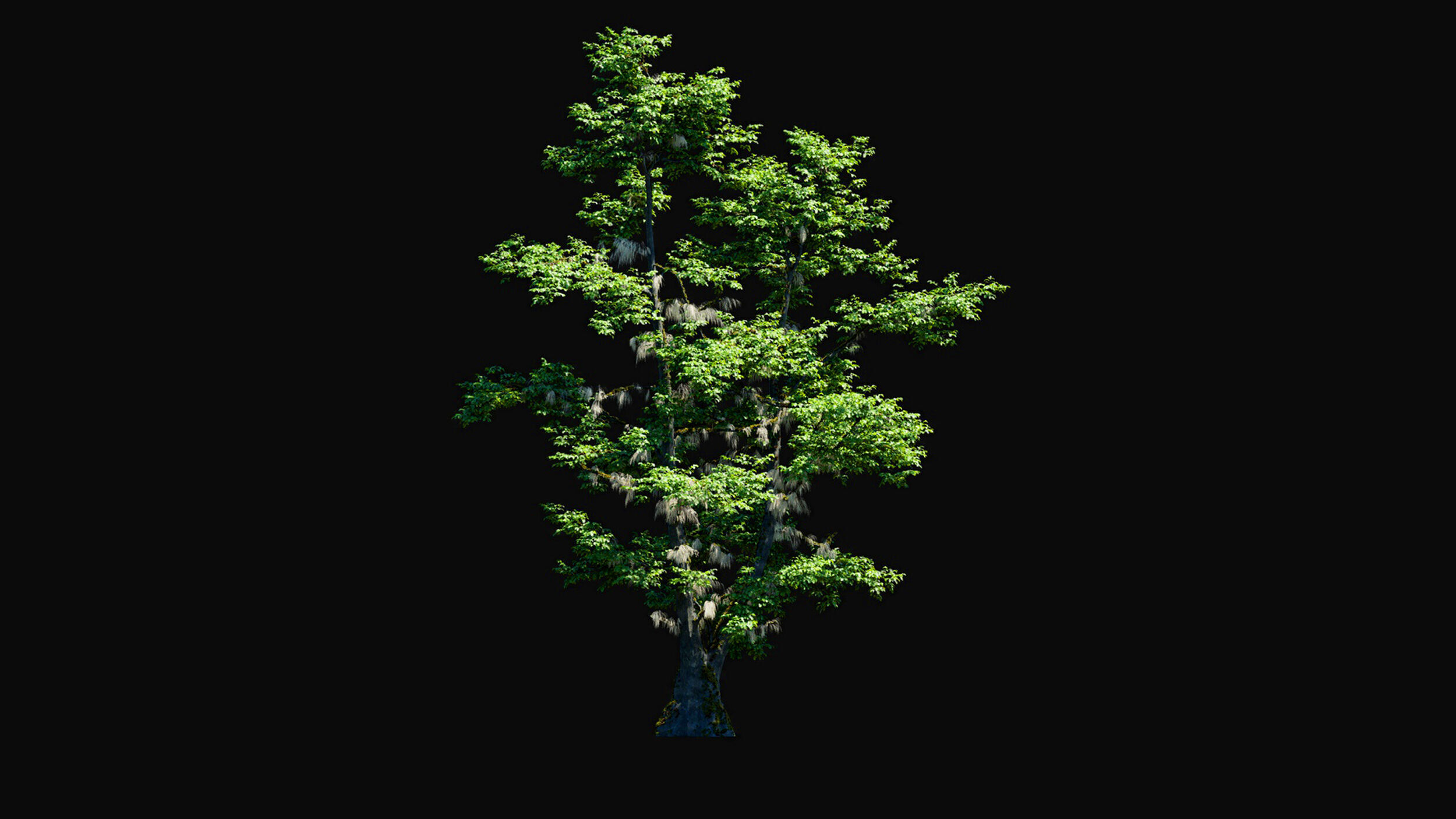 Huge Tree Set Pack All In One Low-poly 3D model_26