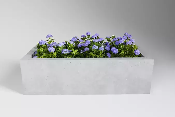 Concrete Planter with Flowers