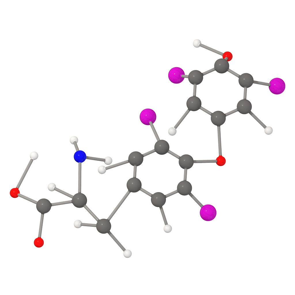 Levothyroxine Molecular Structure 3D print model_4